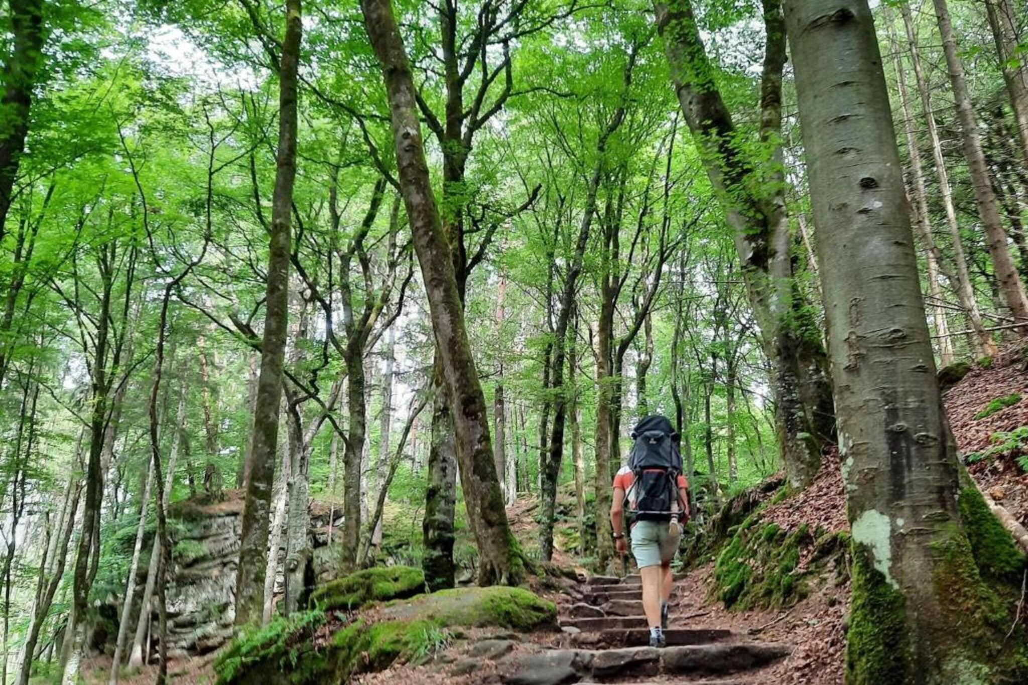 Camping Nommerlayen 1-Gebiete Sommer 20 km