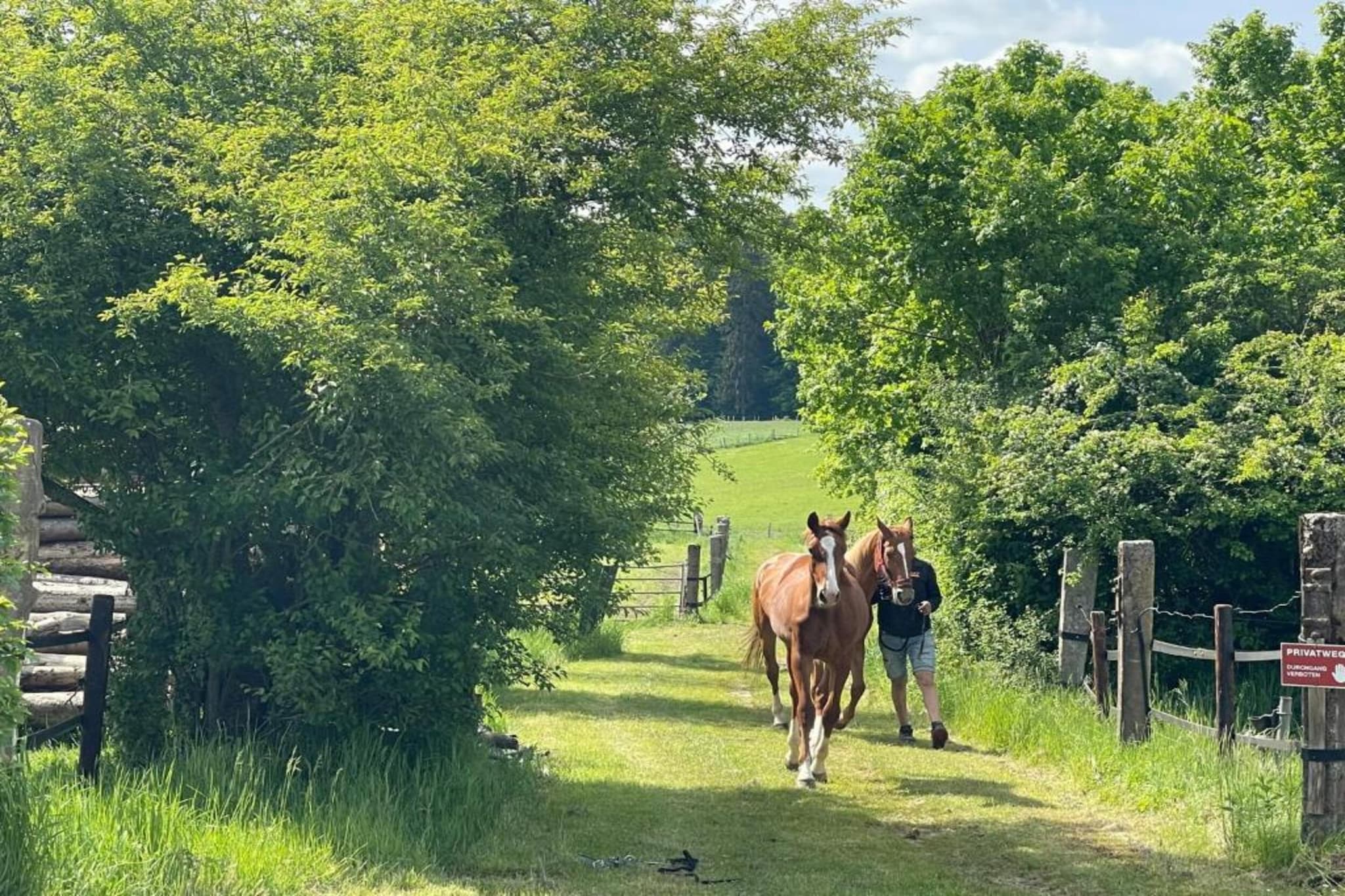Camping Nommerlayen 2-Gebiete Sommer 20 km
