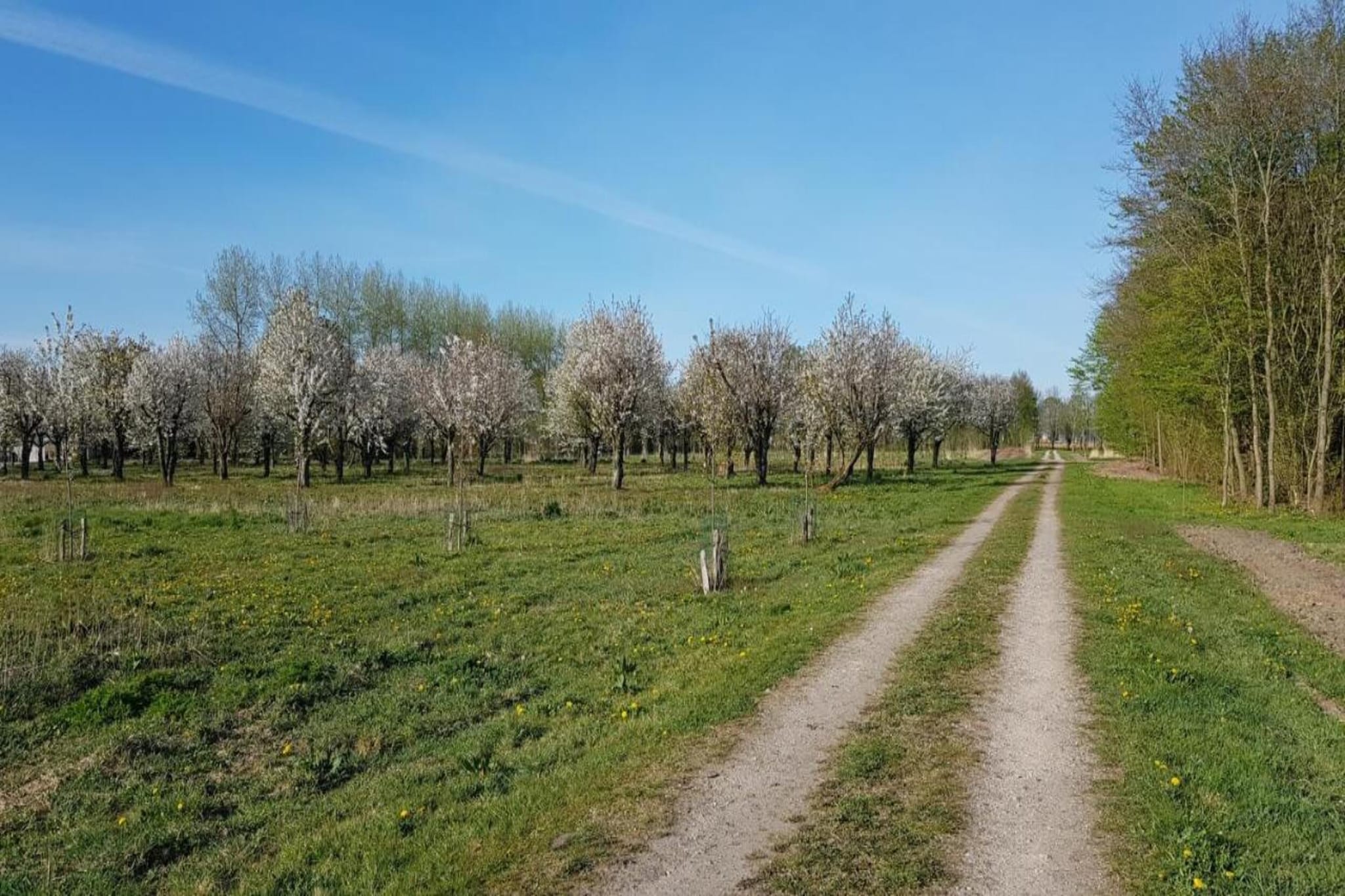 Resort de Parel 13-Gebieden zomer 20km