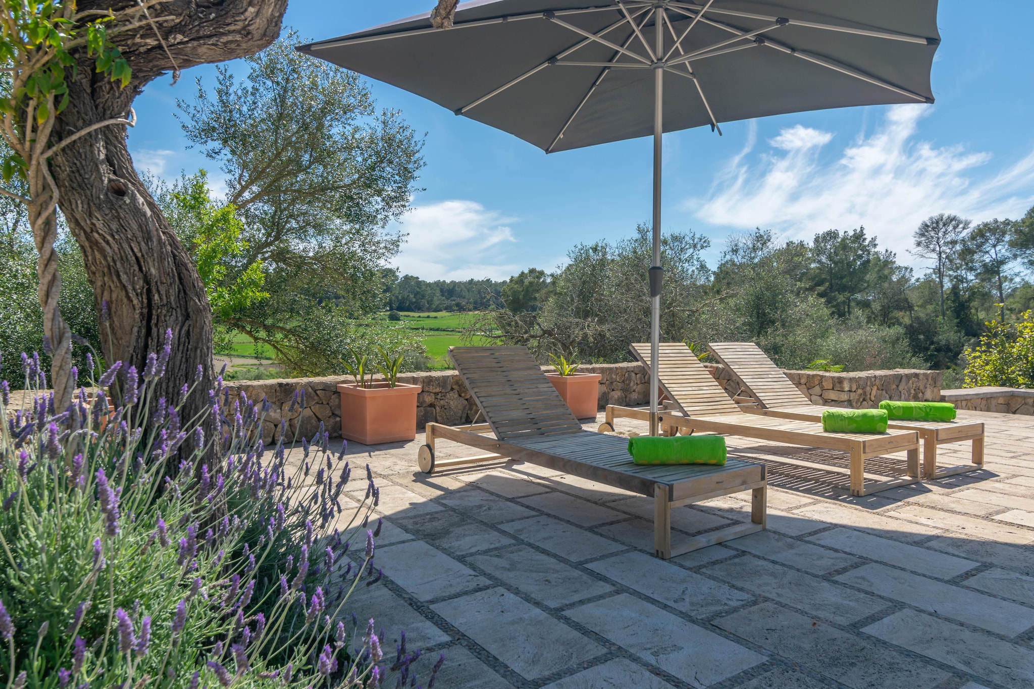 Hortella (ecofinca)-Terrasbalkon