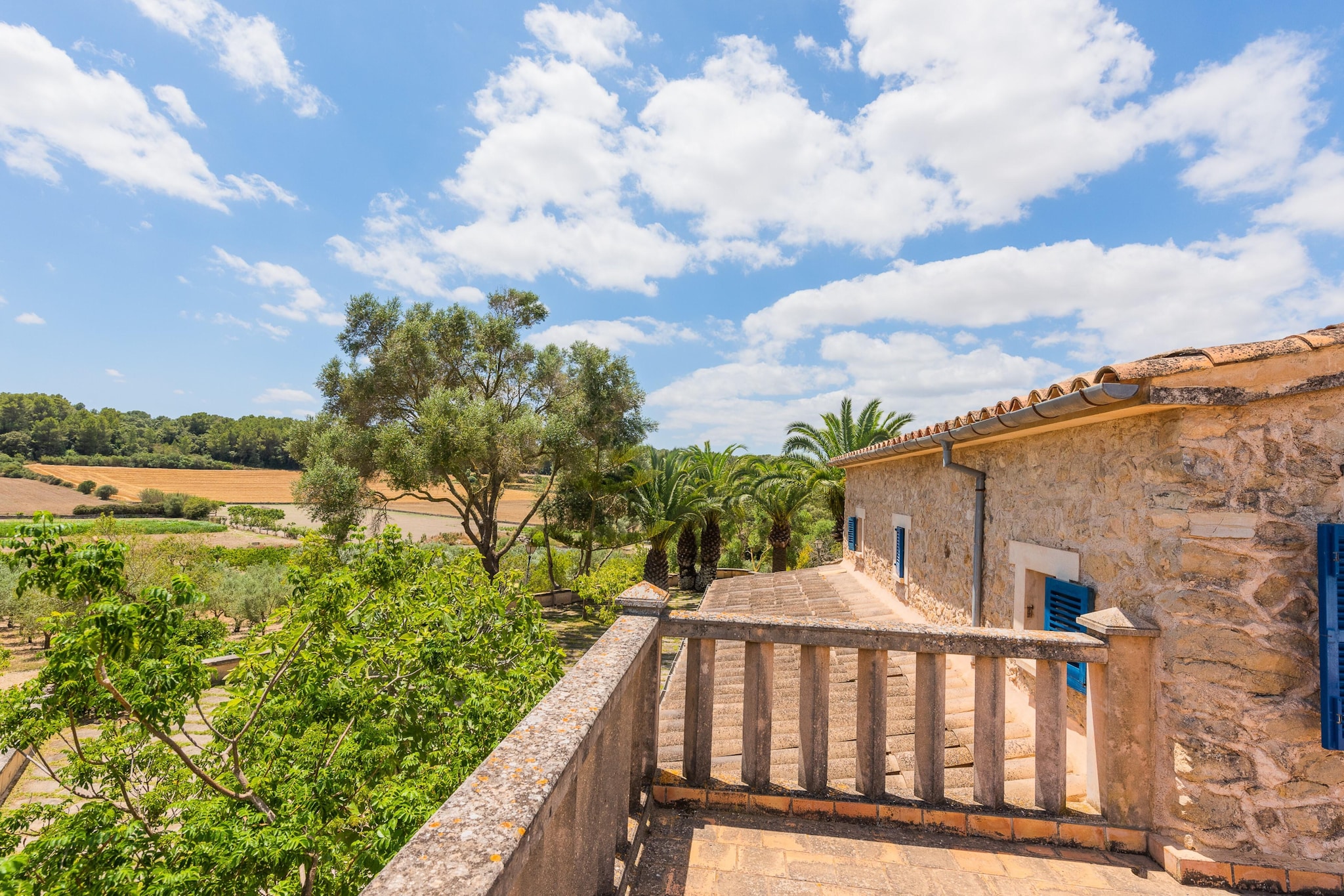 Hortella (ecofinca)-Terrasbalkon