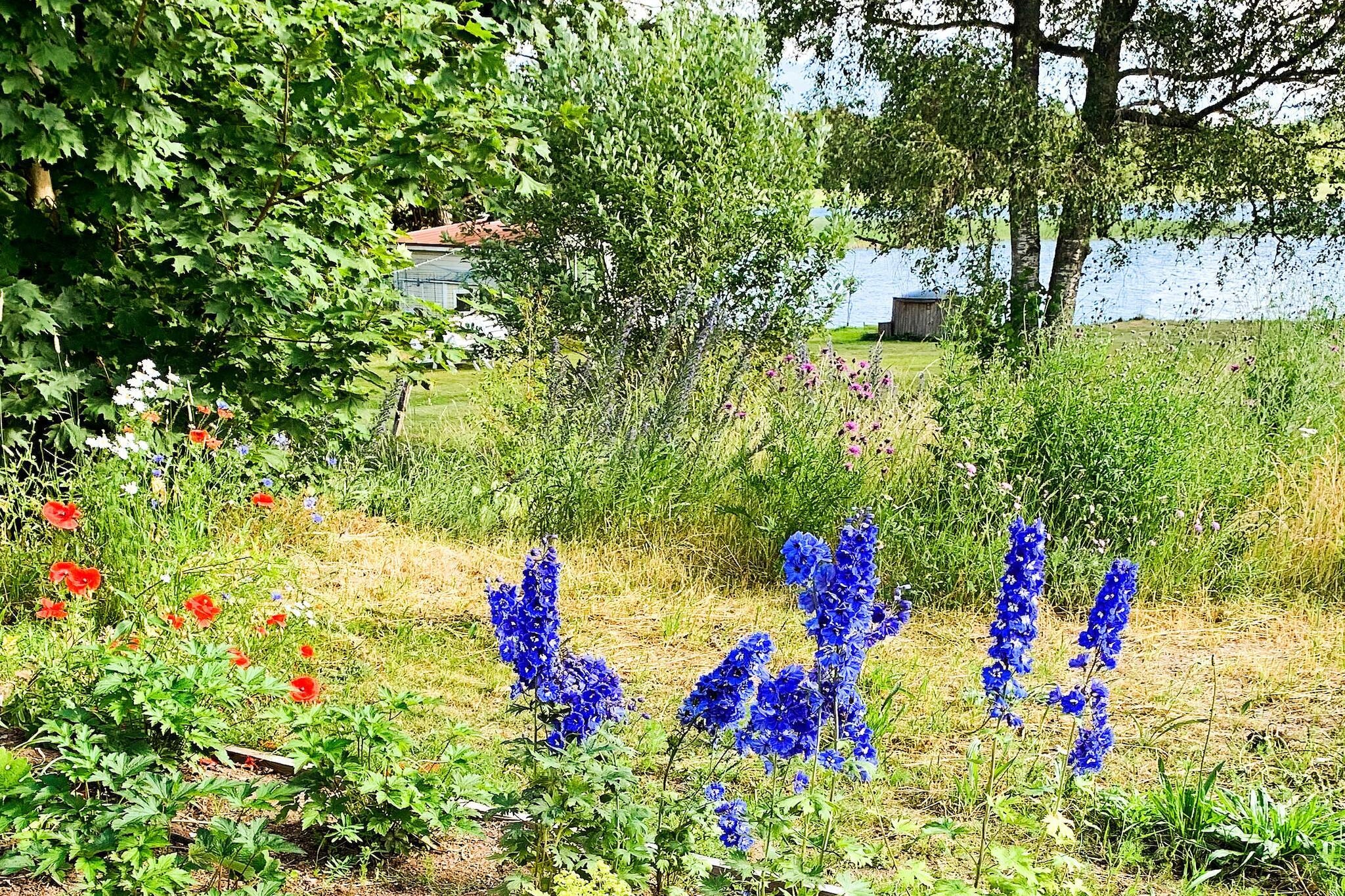9 persoons vakantie huis in Bellö-By Traum - Niet-getagd