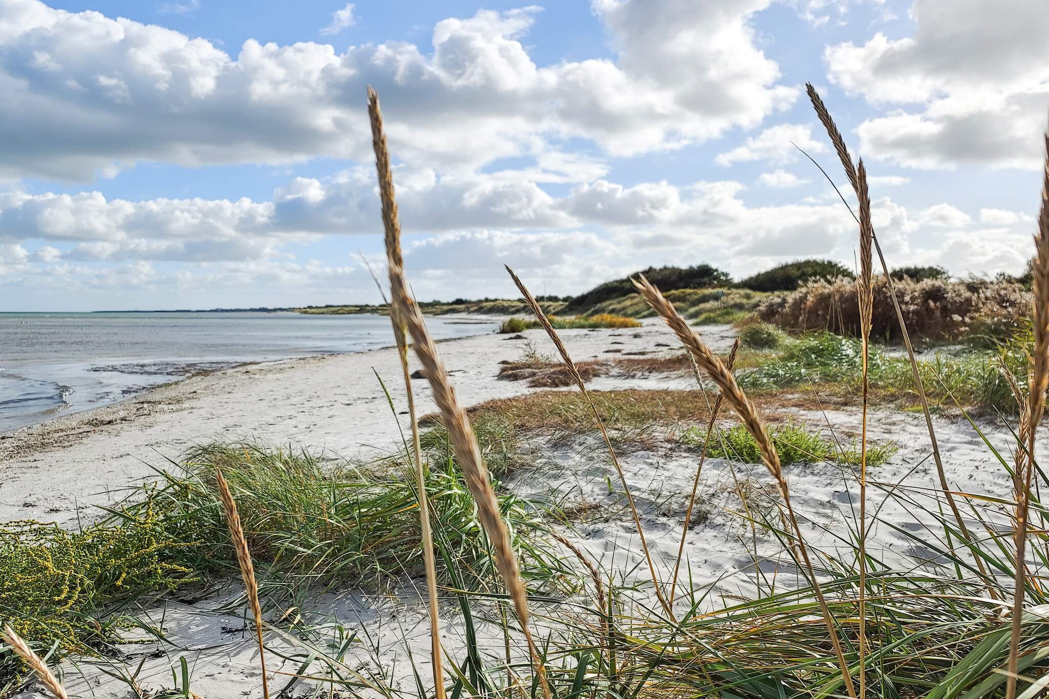 12 persoons vakantie huis in Hadsund-By Traum-Waterzicht