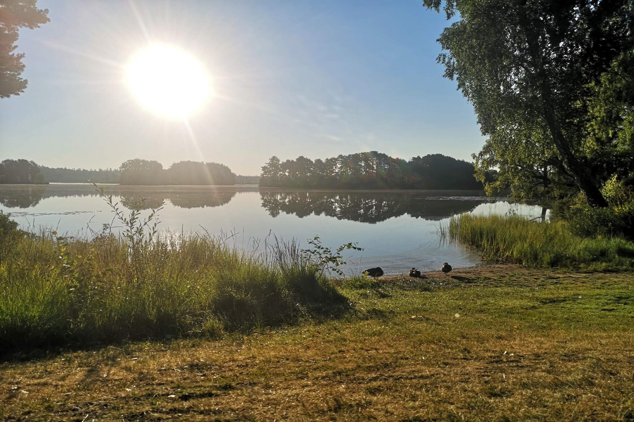 9 persoons vakantie huis in MARKARYD-By Traum-Waterzicht