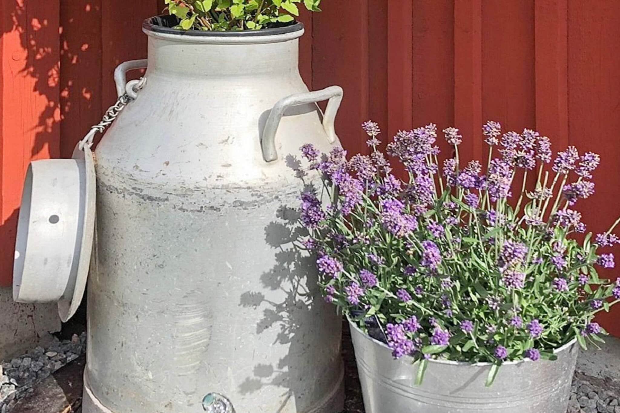 3 person holiday home in TRÃ„LÃ–VSLÃ„GE-By Traum