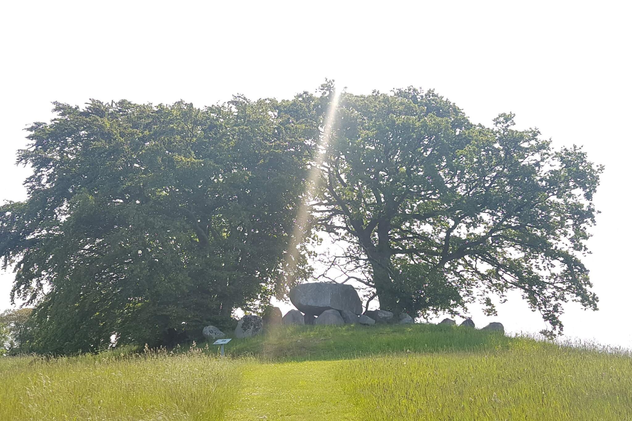 6 person holiday home in Vordingborg-By Traum-Untagged