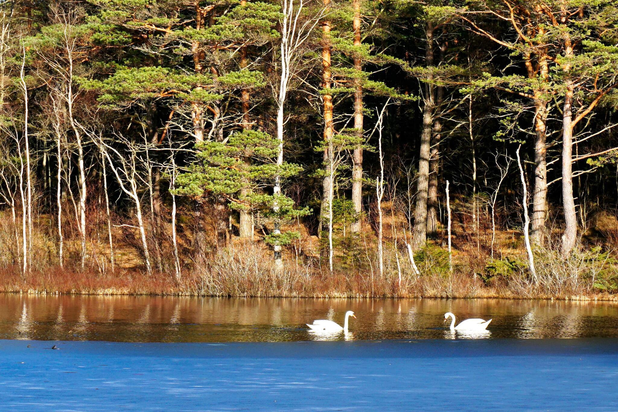 5 person holiday home in Bullaren-By Traum