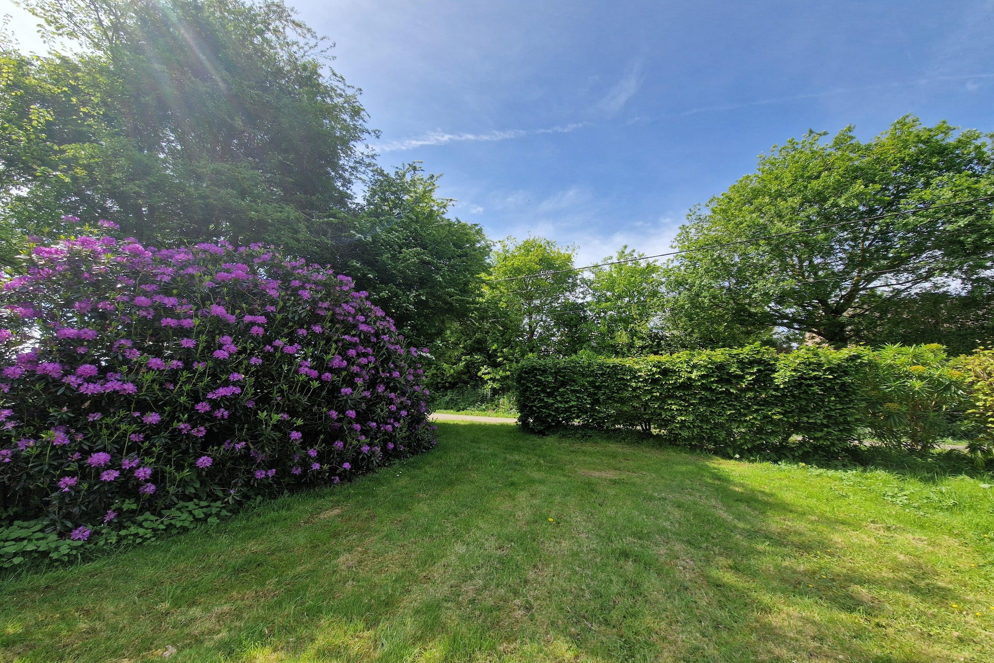 Garden Summer