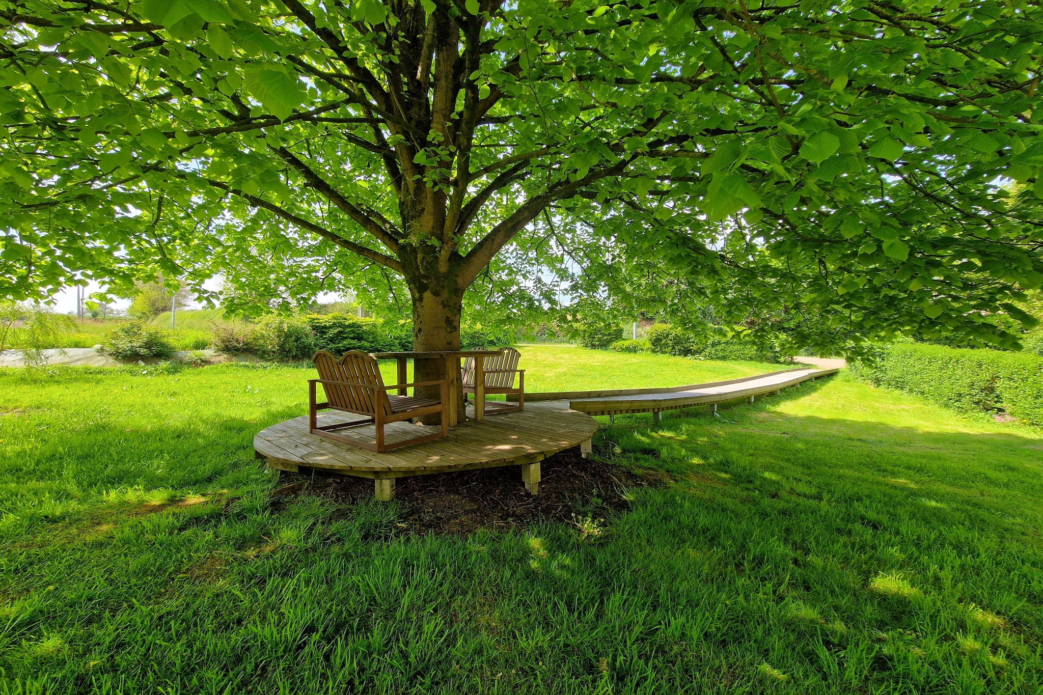 Garden Summer