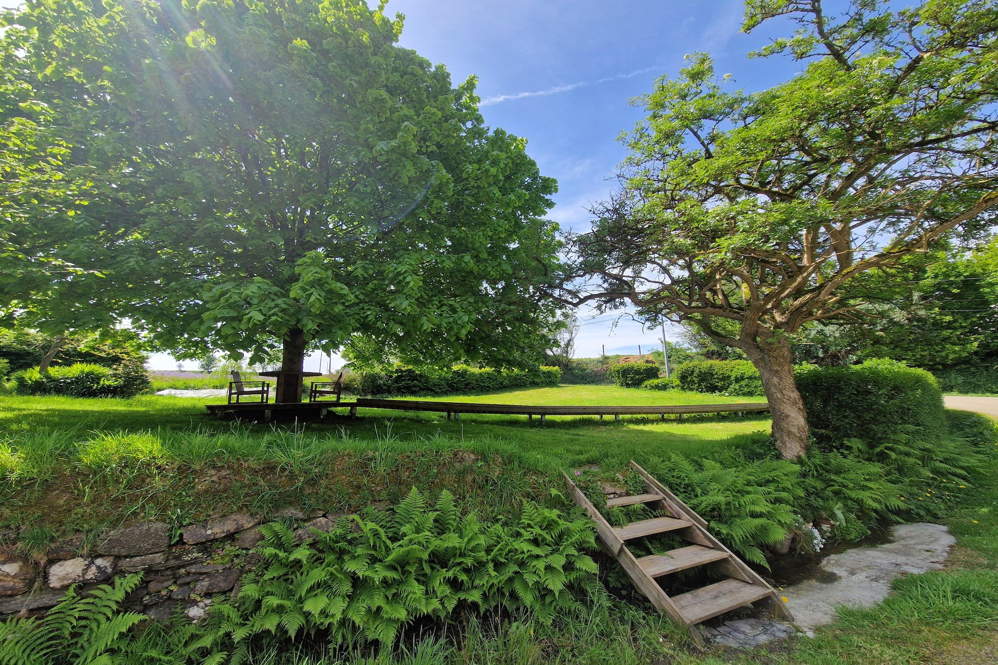 Garden Summer