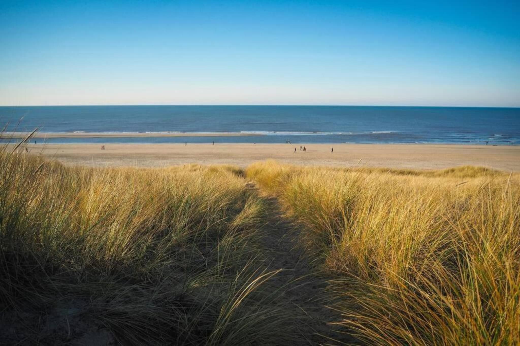 Bungalowpark Campanula 4-Gebieden zomer 20km