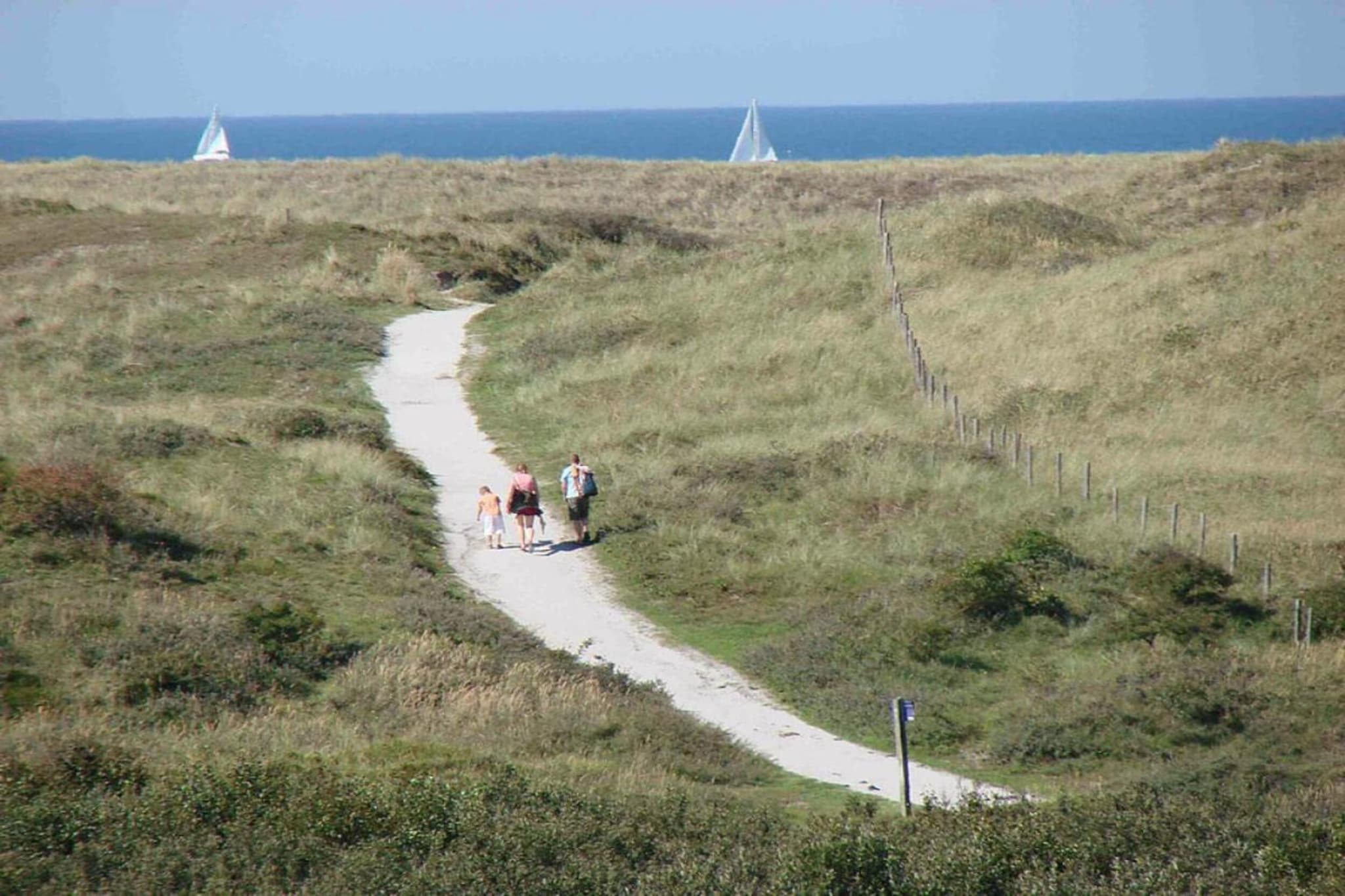 Bungalowpark Campanula 4-Gebieden zomer 20km