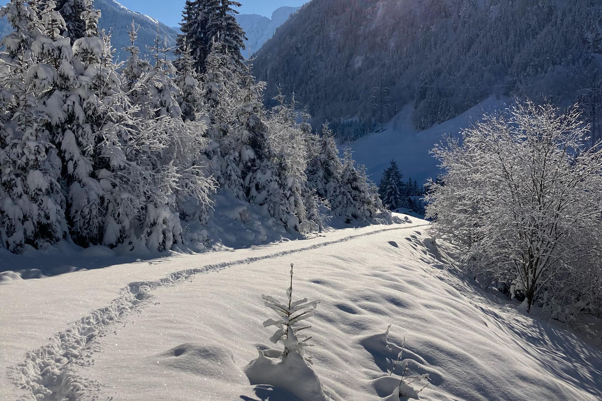 Fewo Pinzgau-Gebied winter 1km