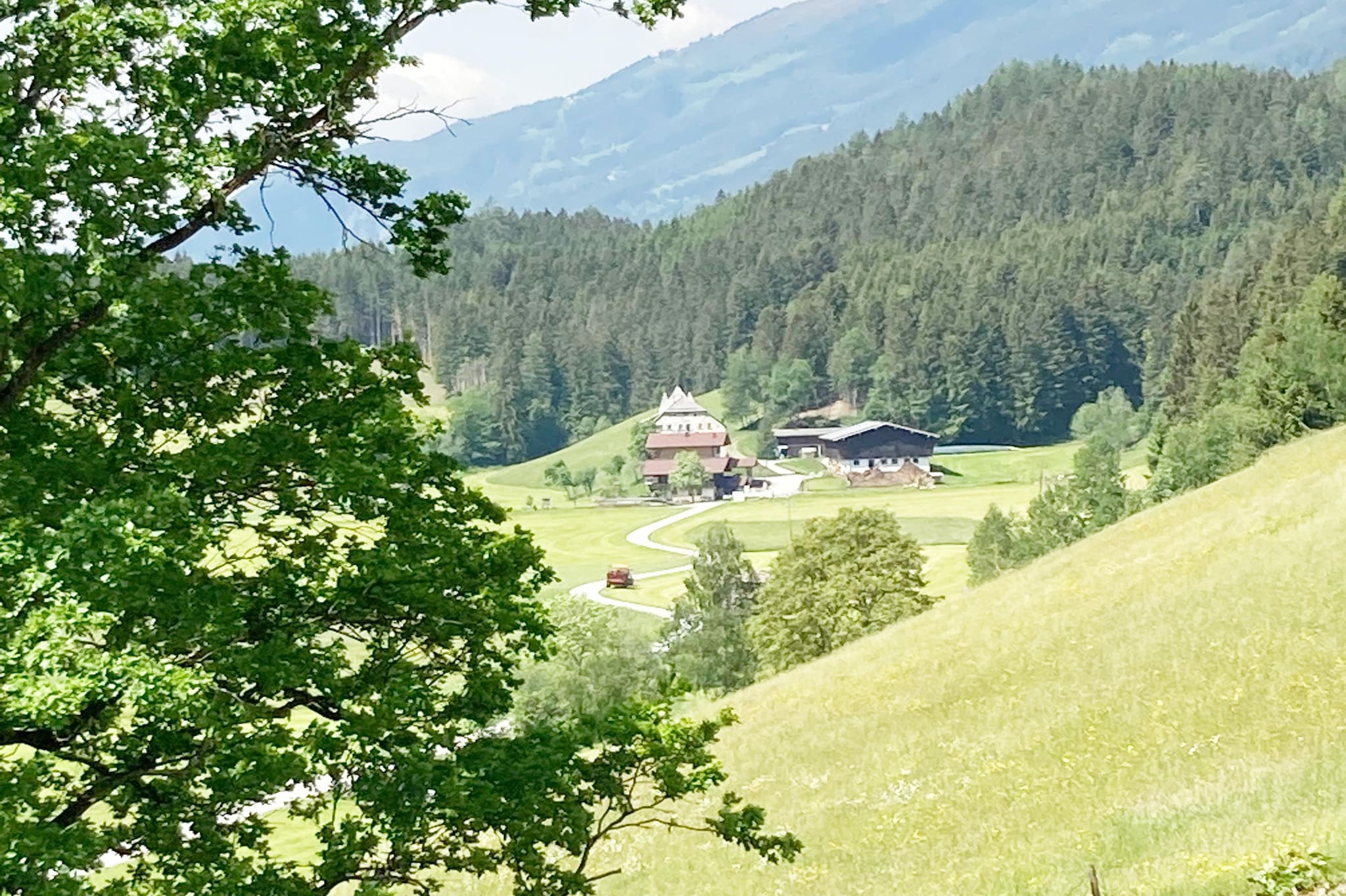 Fewo Pinzgau