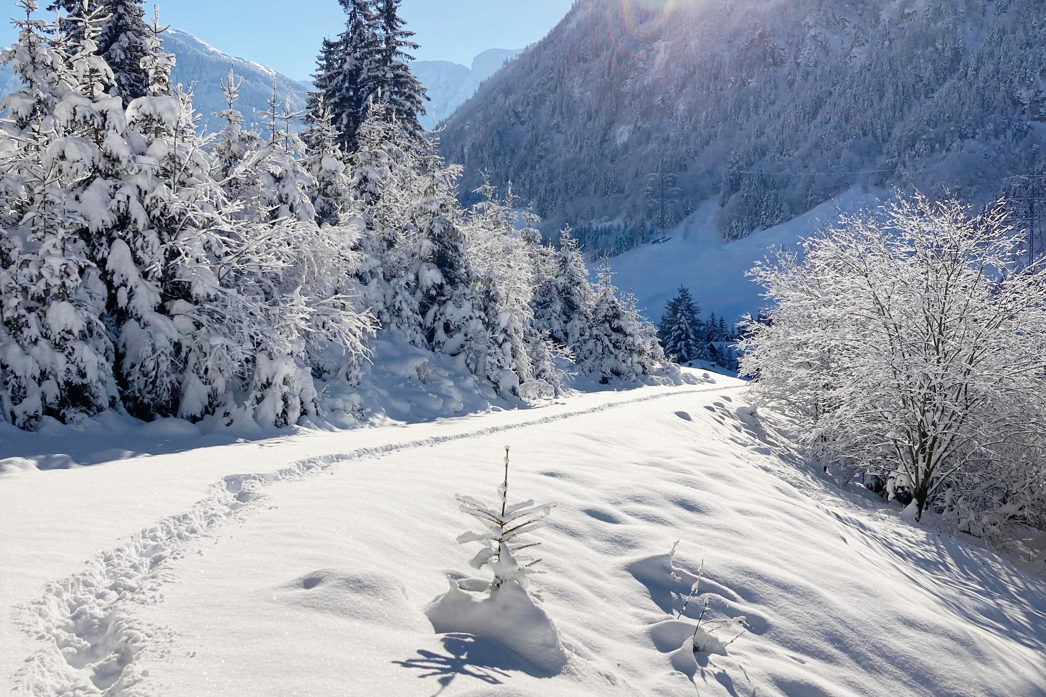 Fewo Pinzgau - Gebied winter 5km