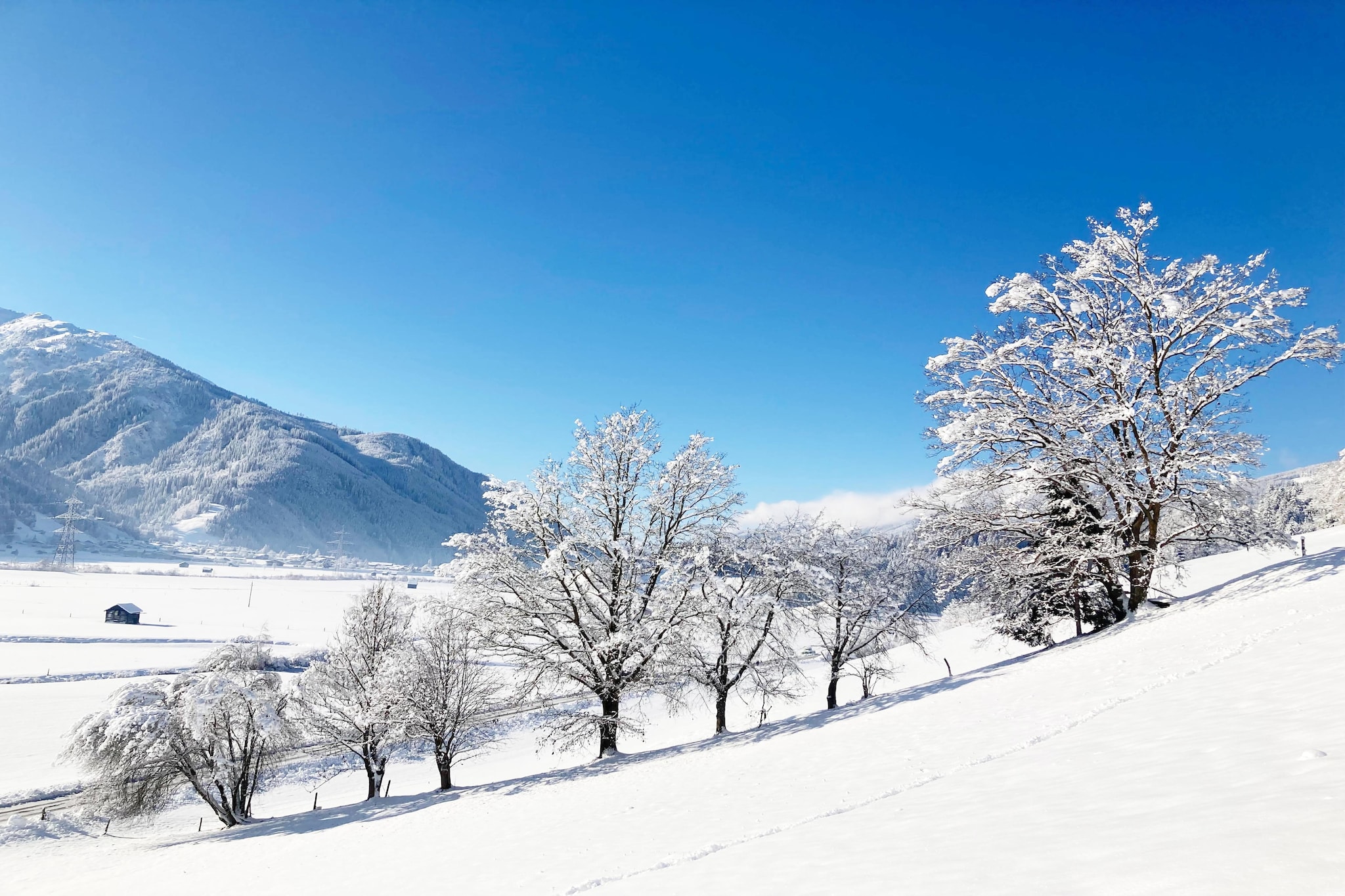 Fewo Pinzgau - Gebied winter 5km