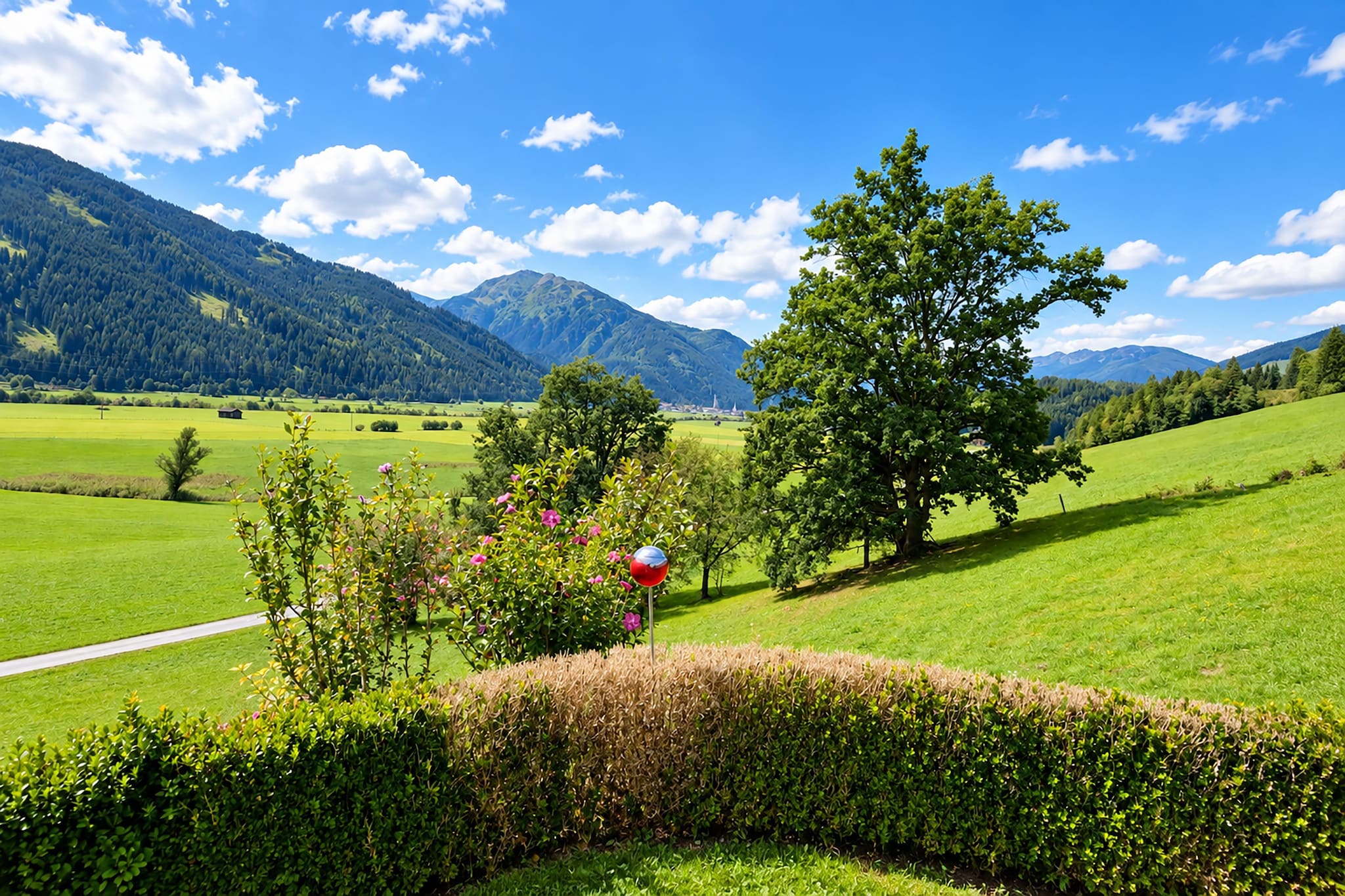 Appartement Pinzgau - Gebieden zomer 1km
