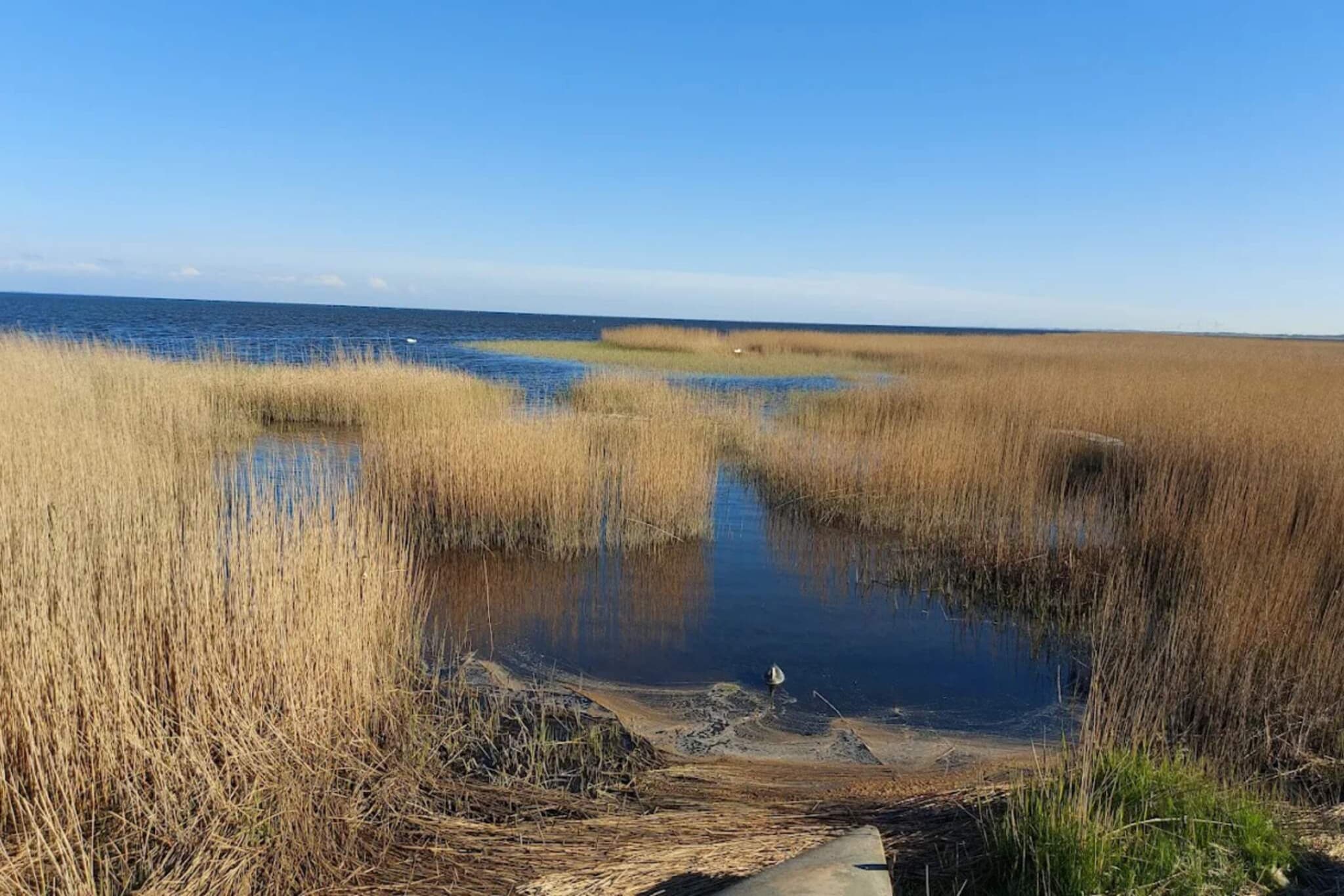 4 Personen Ferienhaus in Ringkøbing-By Traum-Wasserblick