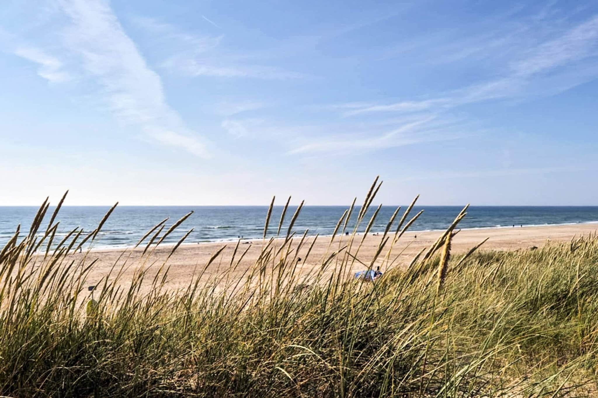 4 persoons vakantie huis in Ringkøbing-By Traum