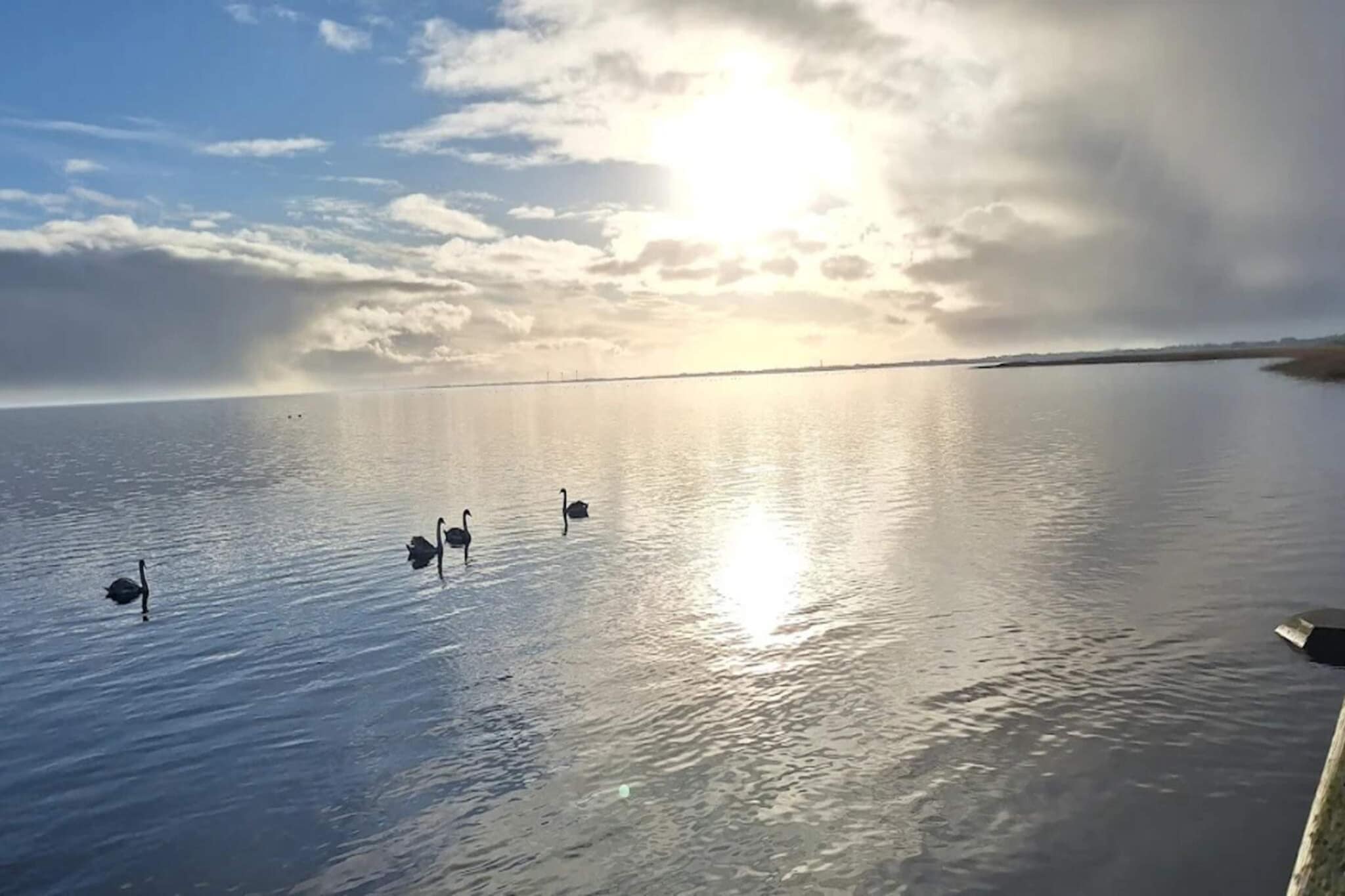 4 persoons vakantie huis in Ringkøbing-By Traum - Waterzicht