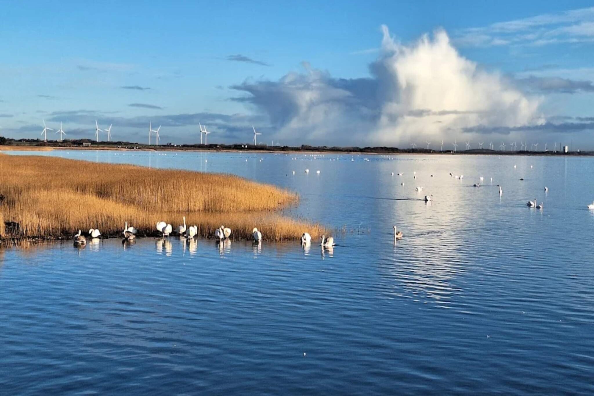 4 persoons vakantie huis in Ringkøbing-By Traum - Waterzicht