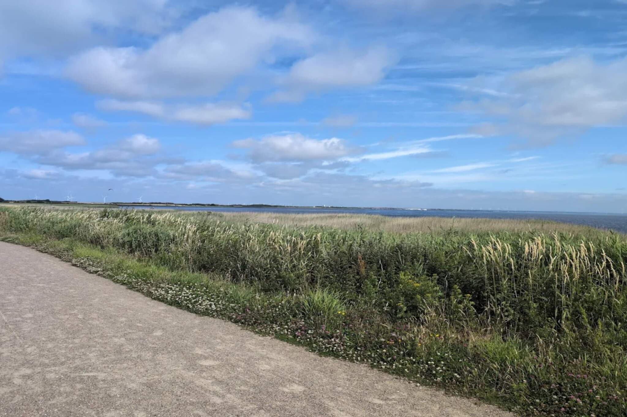 4 persoons vakantie huis in Ringkøbing-By Traum - Waterzicht