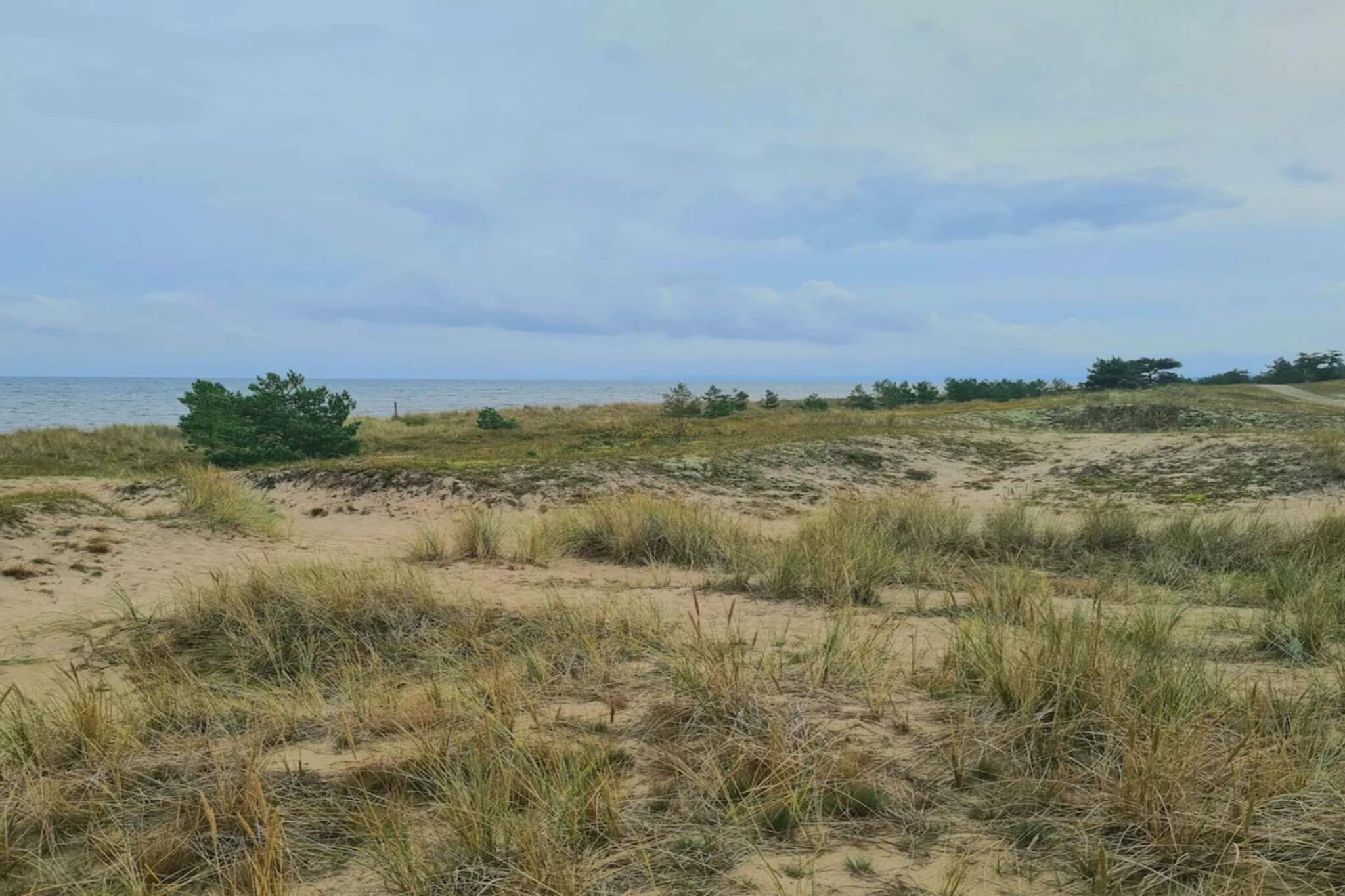 Maison de vacances pour 7 a YNGSJÖ-By Traum-Non tagué