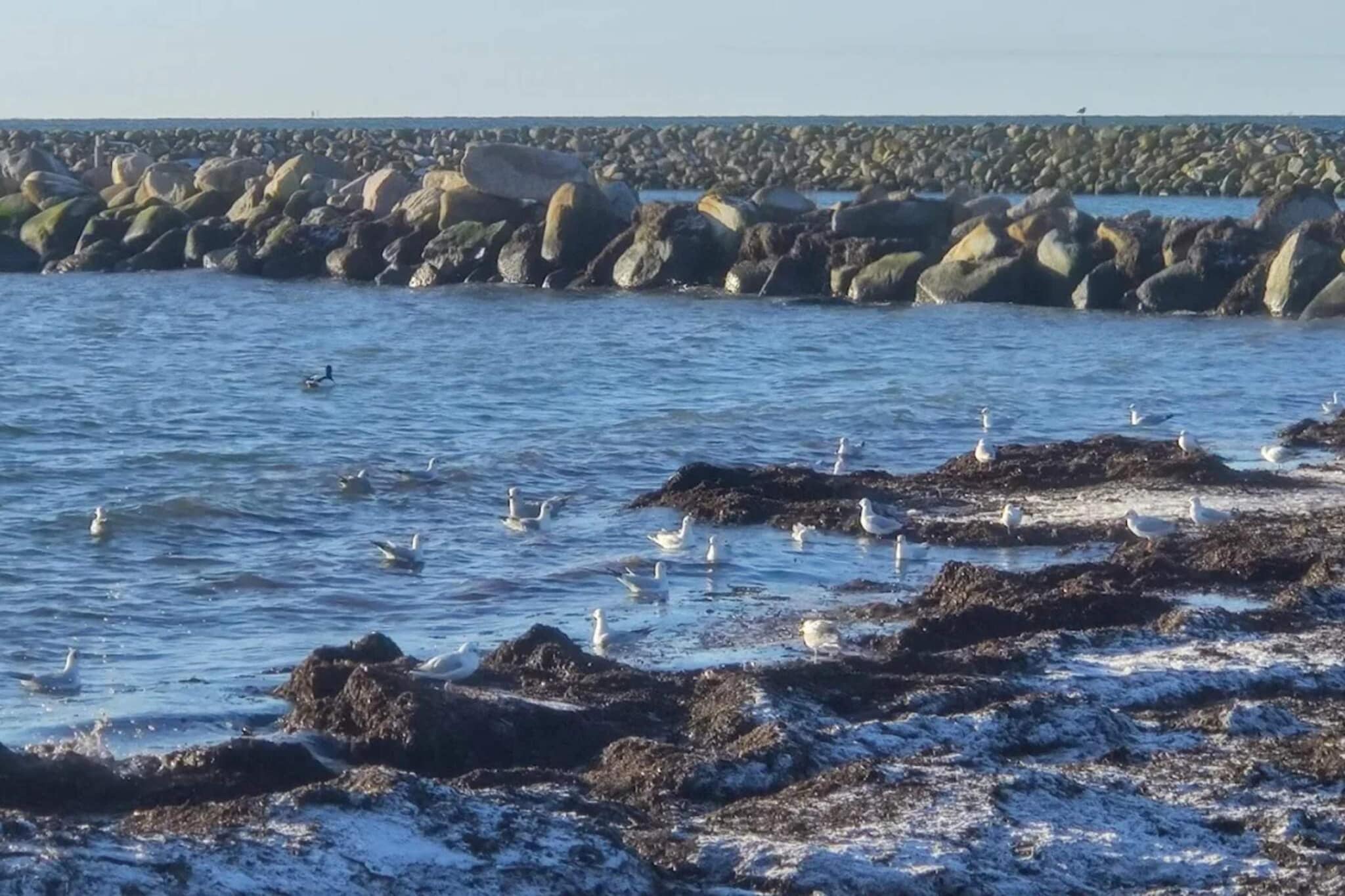 Water View