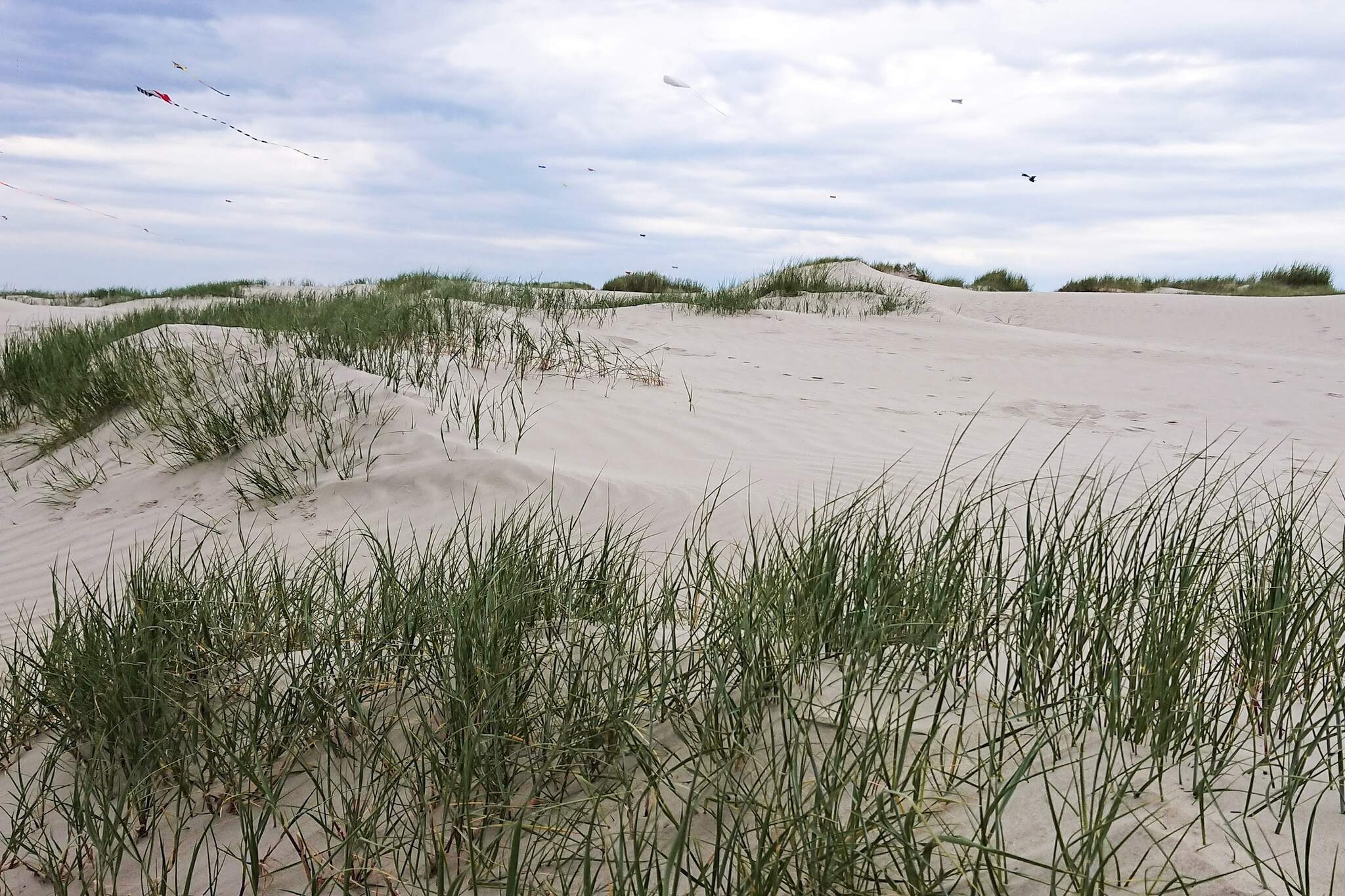 Maison de vacances pour 4 a Fanø-By Traum