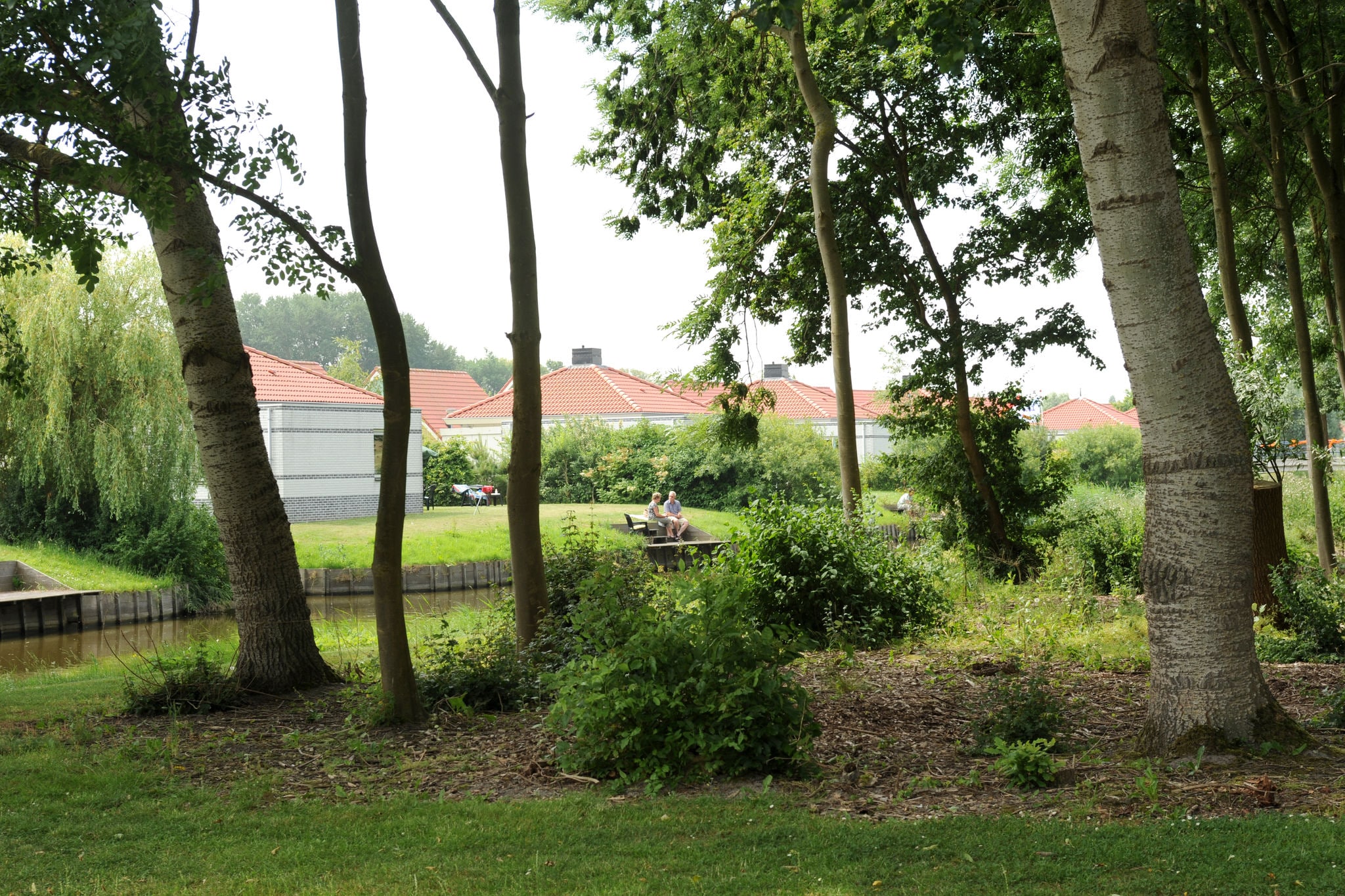 Tente de glamping dans un parc de sur l'IJsselmeer