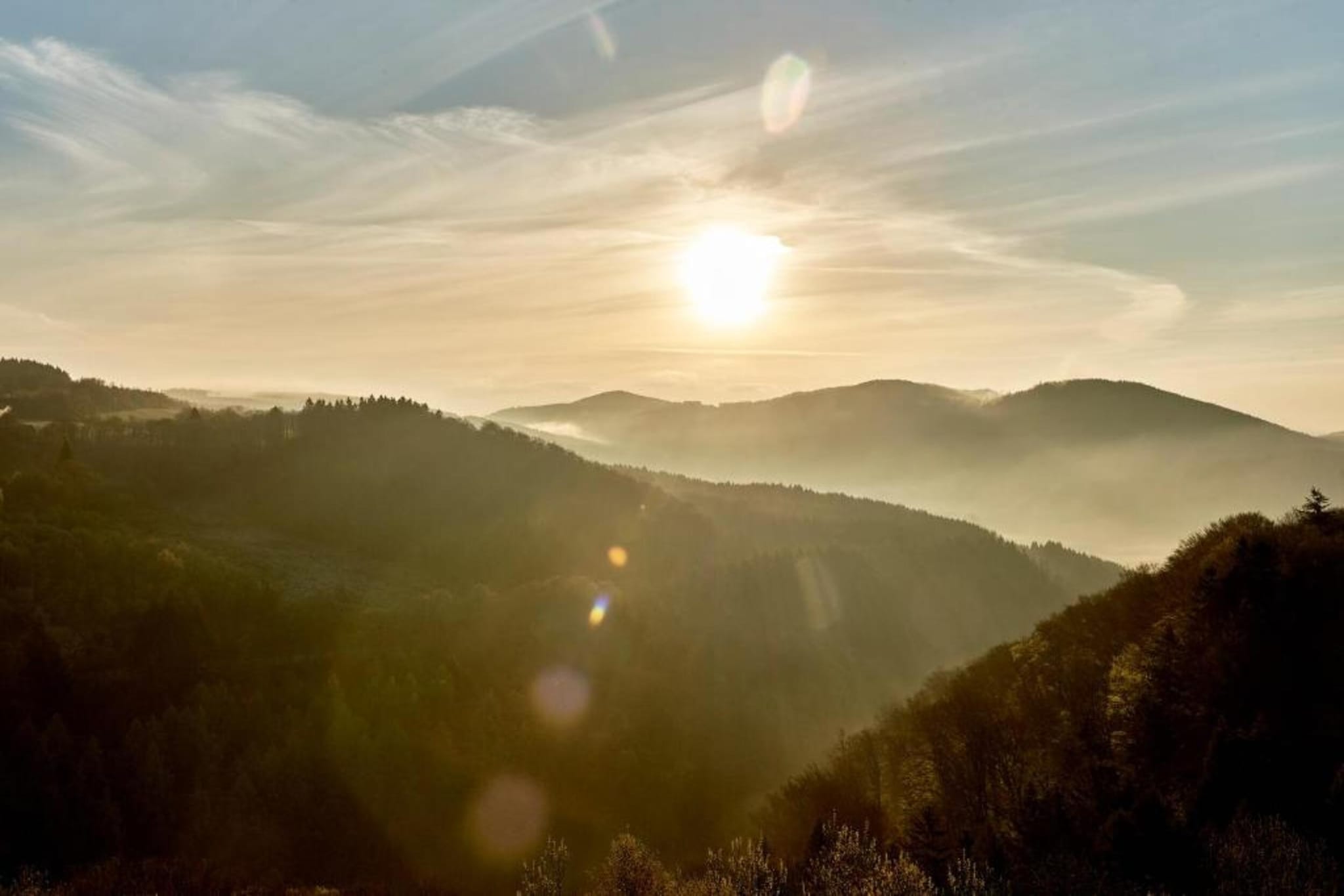 Lodge Winterberg-Gebieden zomer 5km