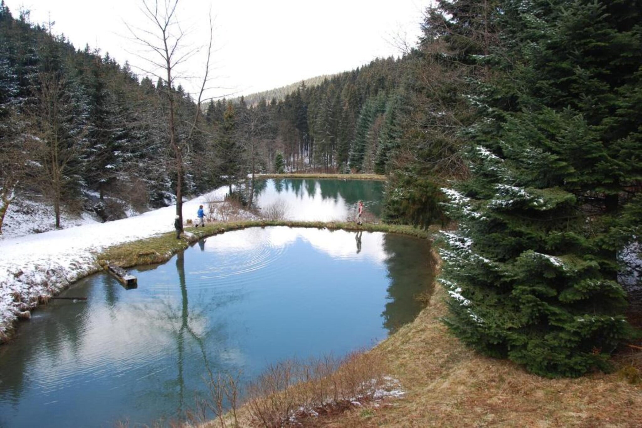 Lodge Winterberg-Gebied winter 5km