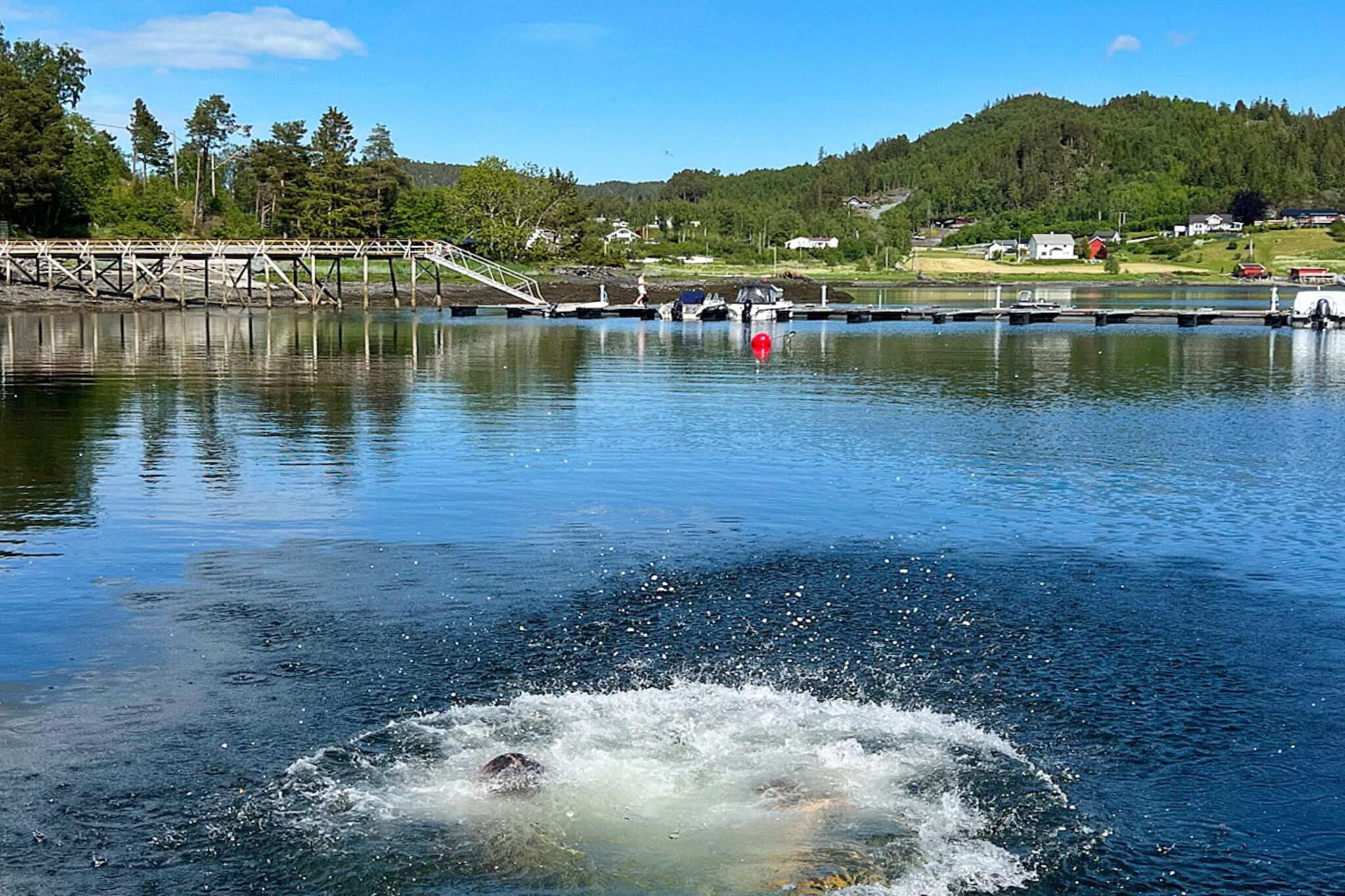 6 persoons vakantie huis in Åsenfjord-By Traum - Niet-getagd