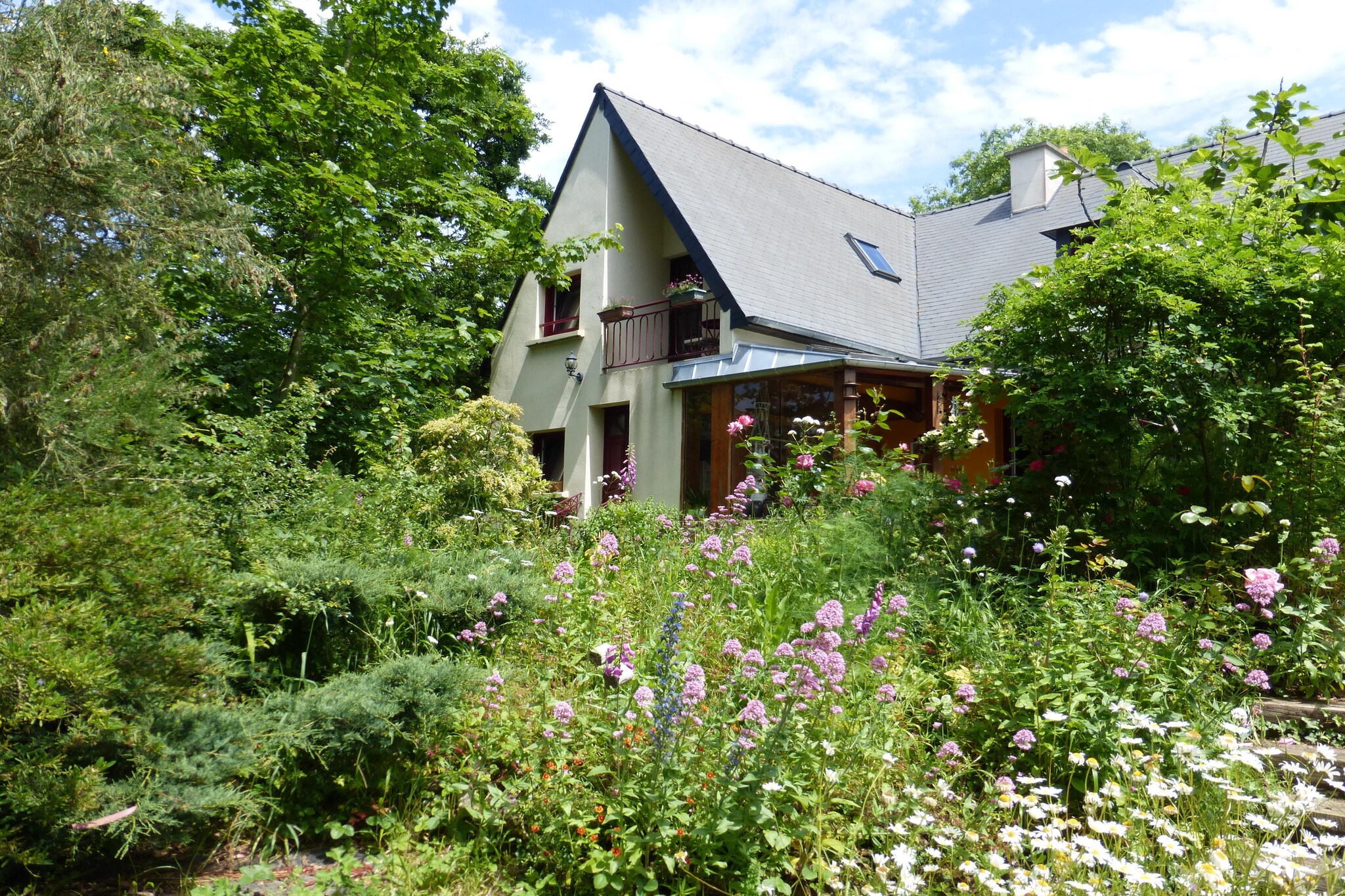 Exterior Summer