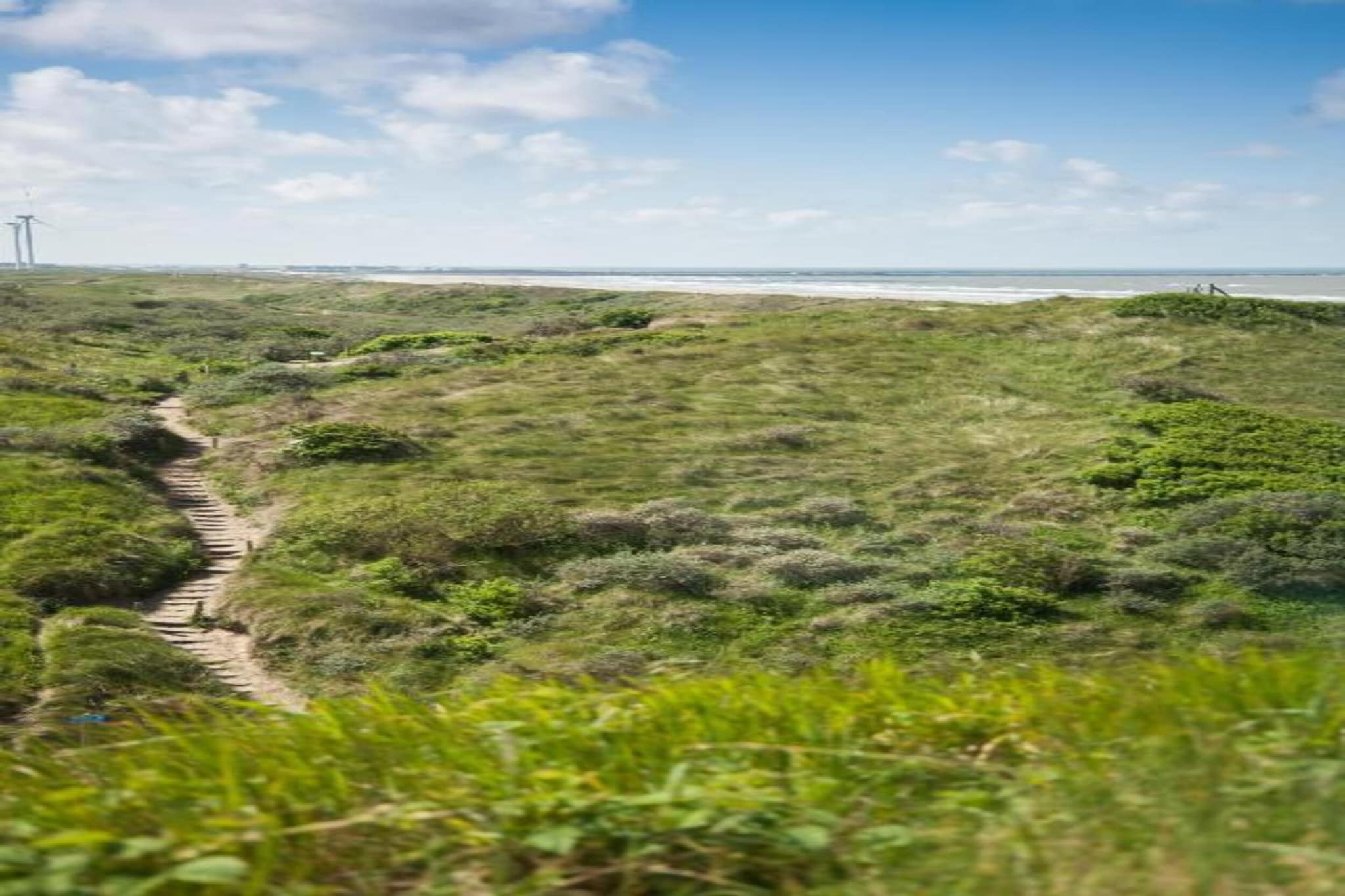 Resort Beach Houses Wijk aan Zee 4-Zones d'été à 20 km