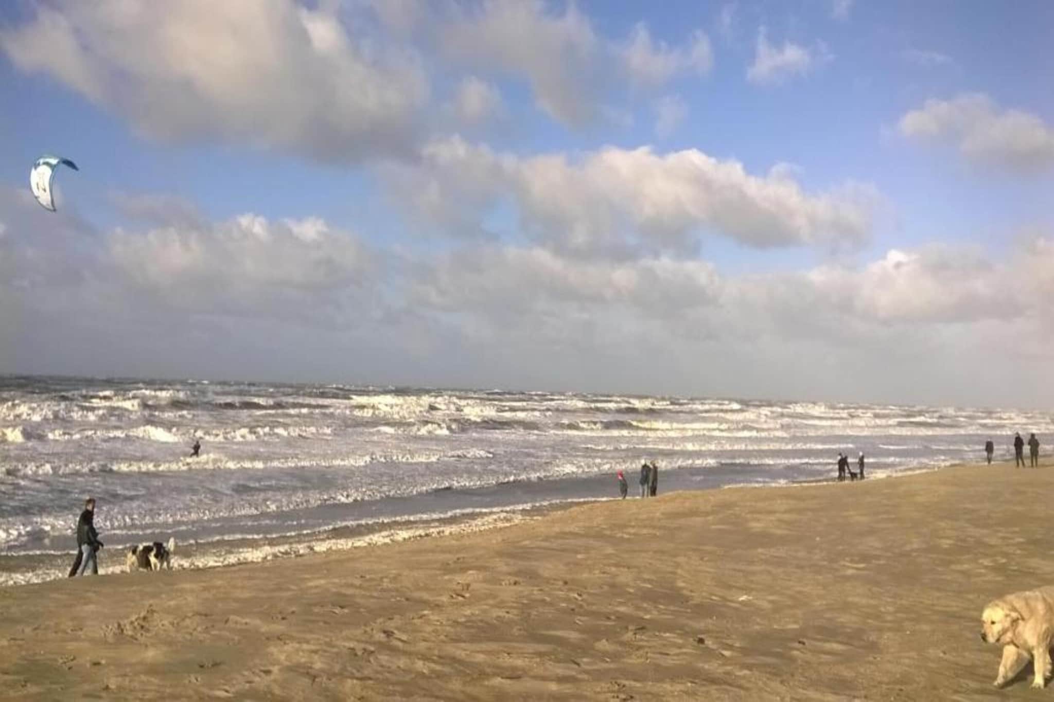 Resort Beach Houses Wijk aan Zee 4-Zones d'été à 20 km