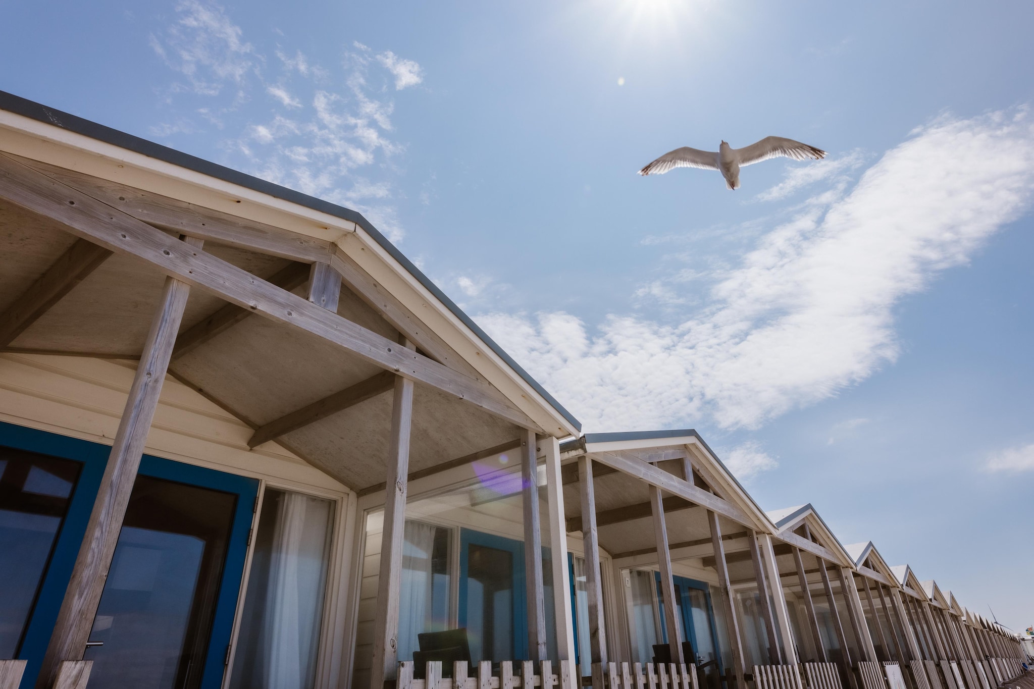 Resort Beach Houses Wijk aan Zee 4-Gebiete Sommer 1 km
