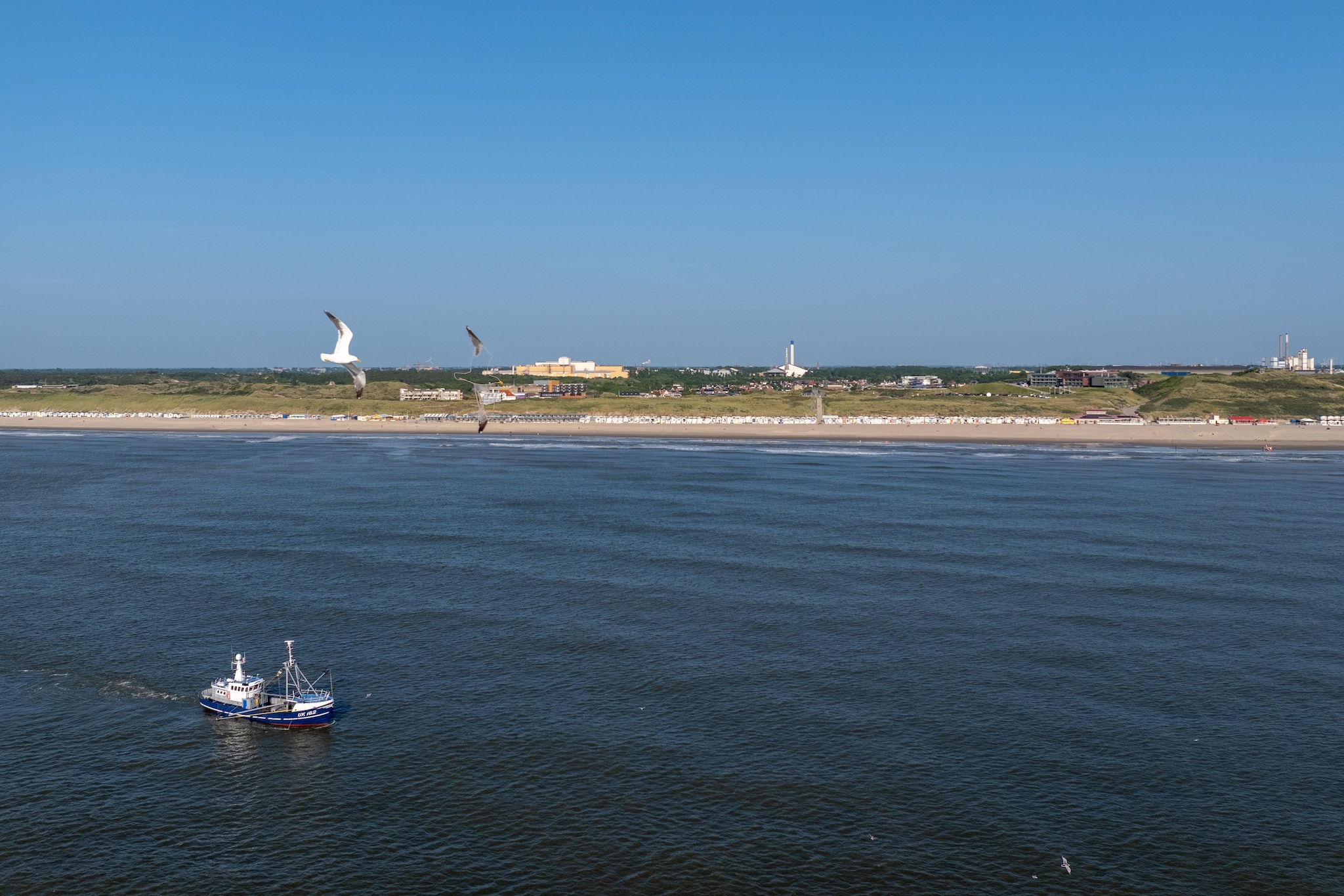 Resort Beach Houses Wijk aan Zee 4-Gebiete Sommer 1 km