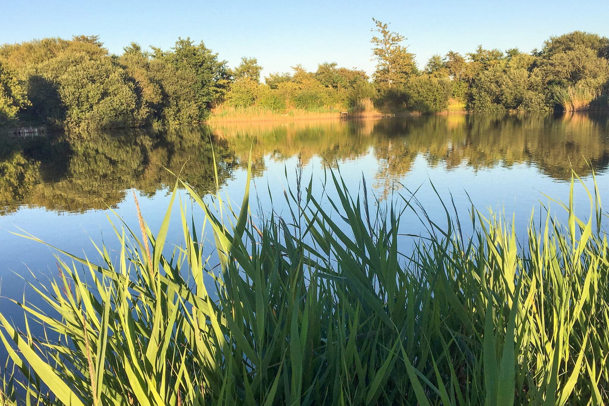 4 Personen Ferienhaus in Tønder-By Traum-Wasserblick