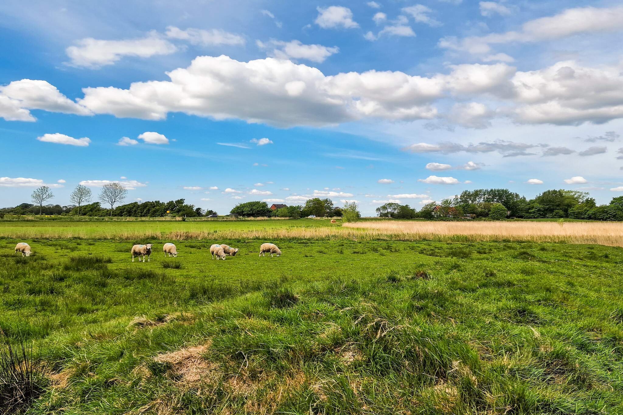 4 persoons vakantie huis in Tønder-By Traum - Buitenlucht