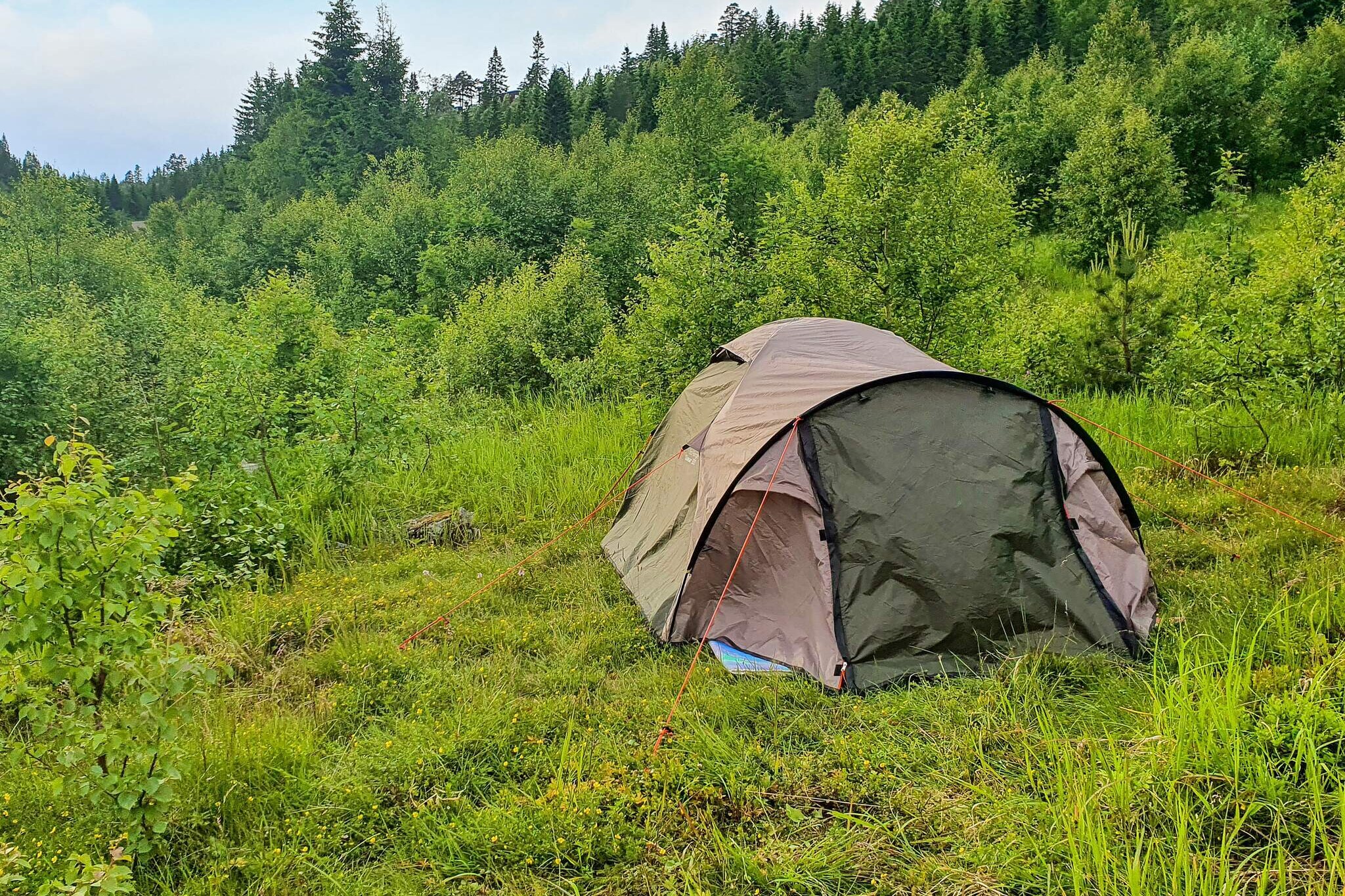 6 persoons vakantie huis in Passebekk-By Traum - Niet-getagd