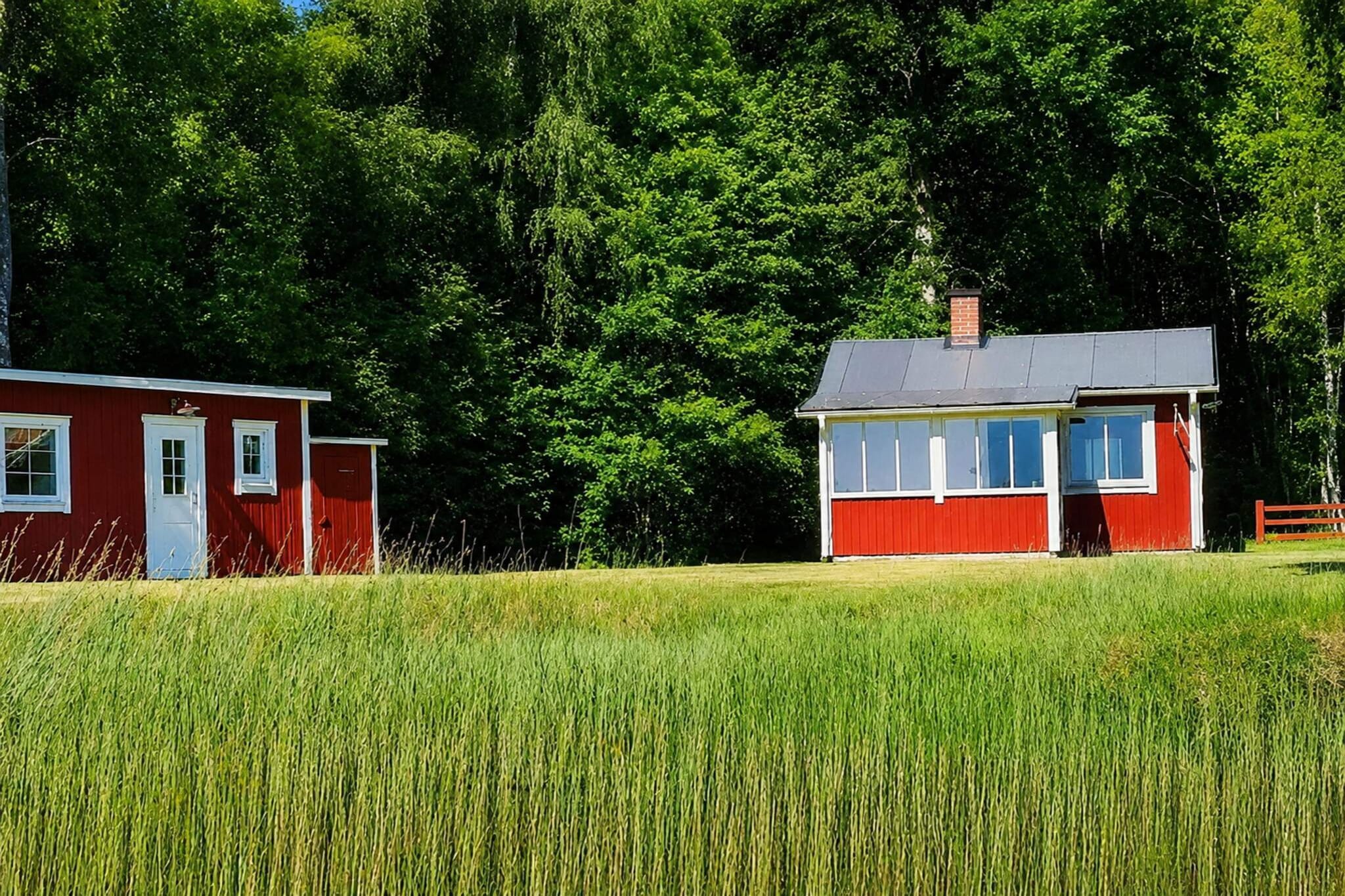 3 persoons vakantie huis in GRIMSTORP-By Traum - Buitenlucht