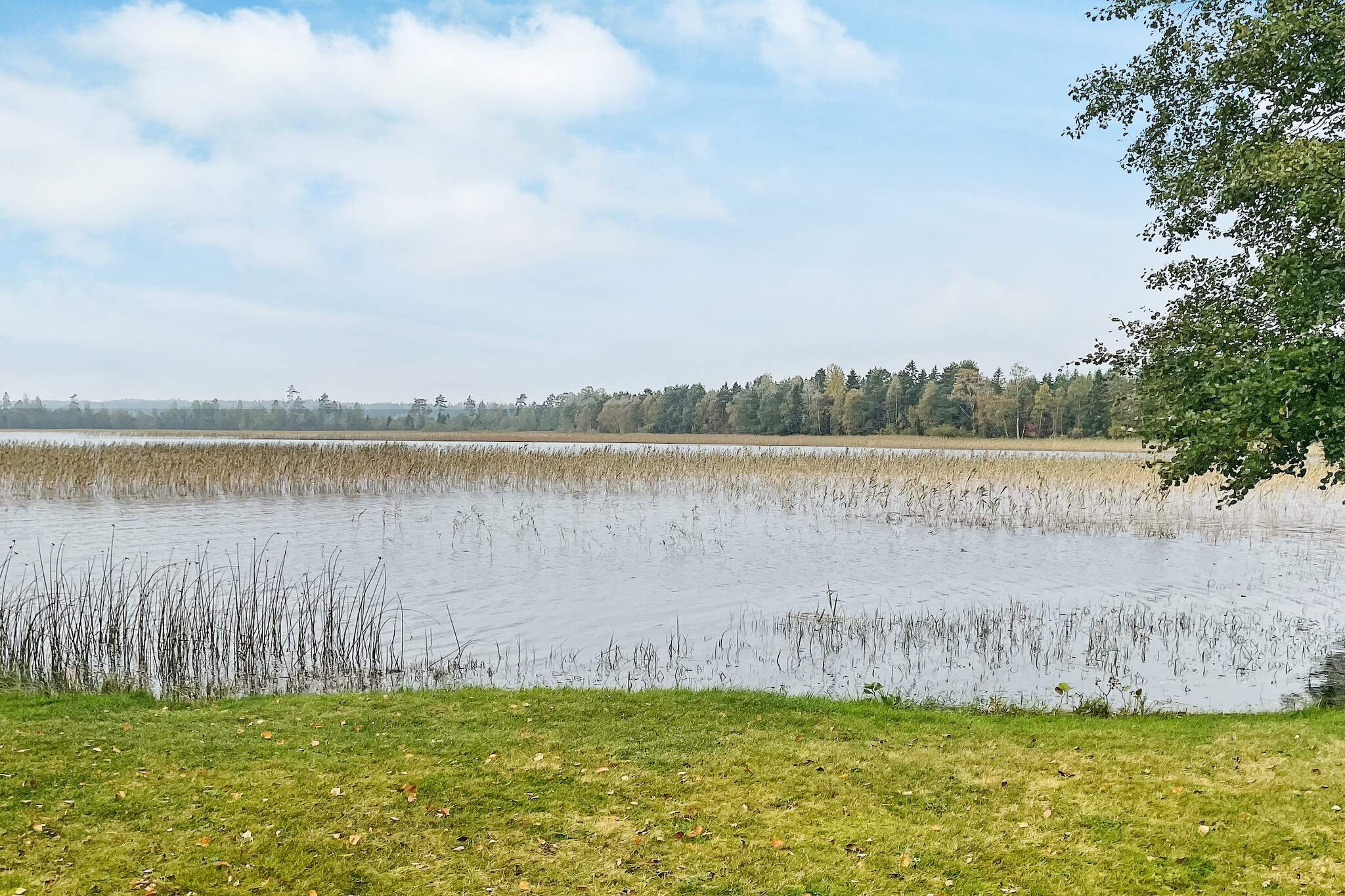 3 persoons vakantie huis in GRIMSTORP-By Traum - Buitenlucht