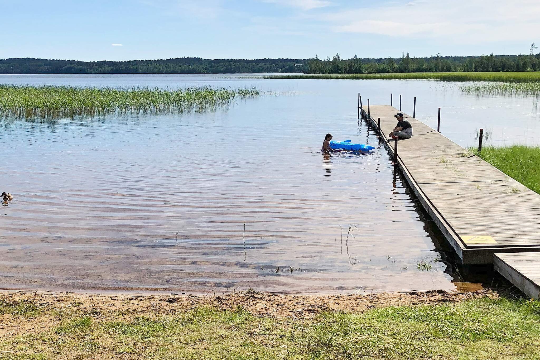 3 persoons vakantie huis in GRIMSTORP-By Traum - Niet-getagd