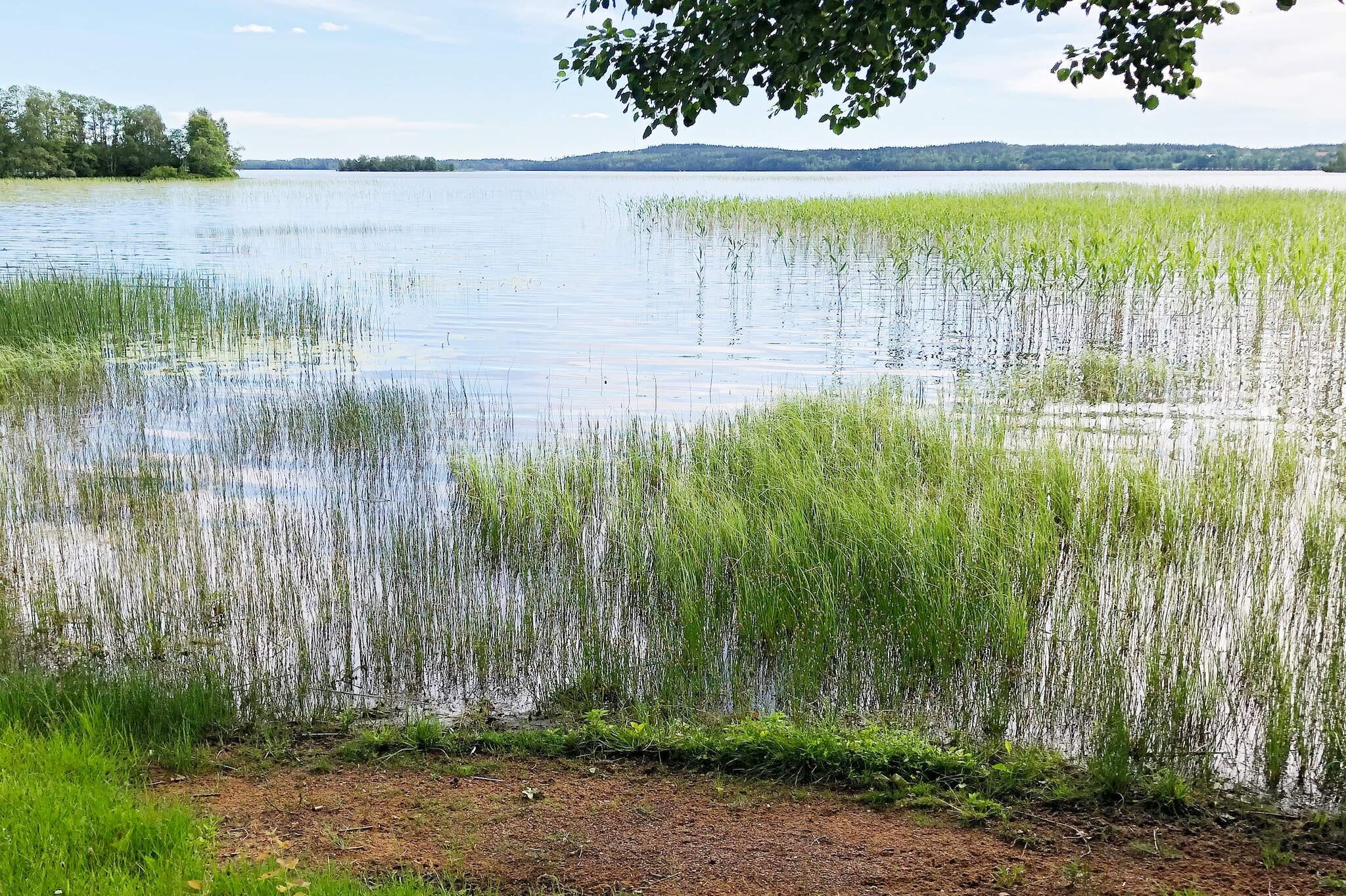 3 persoons vakantie huis in GRIMSTORP-By Traum - Niet-getagd