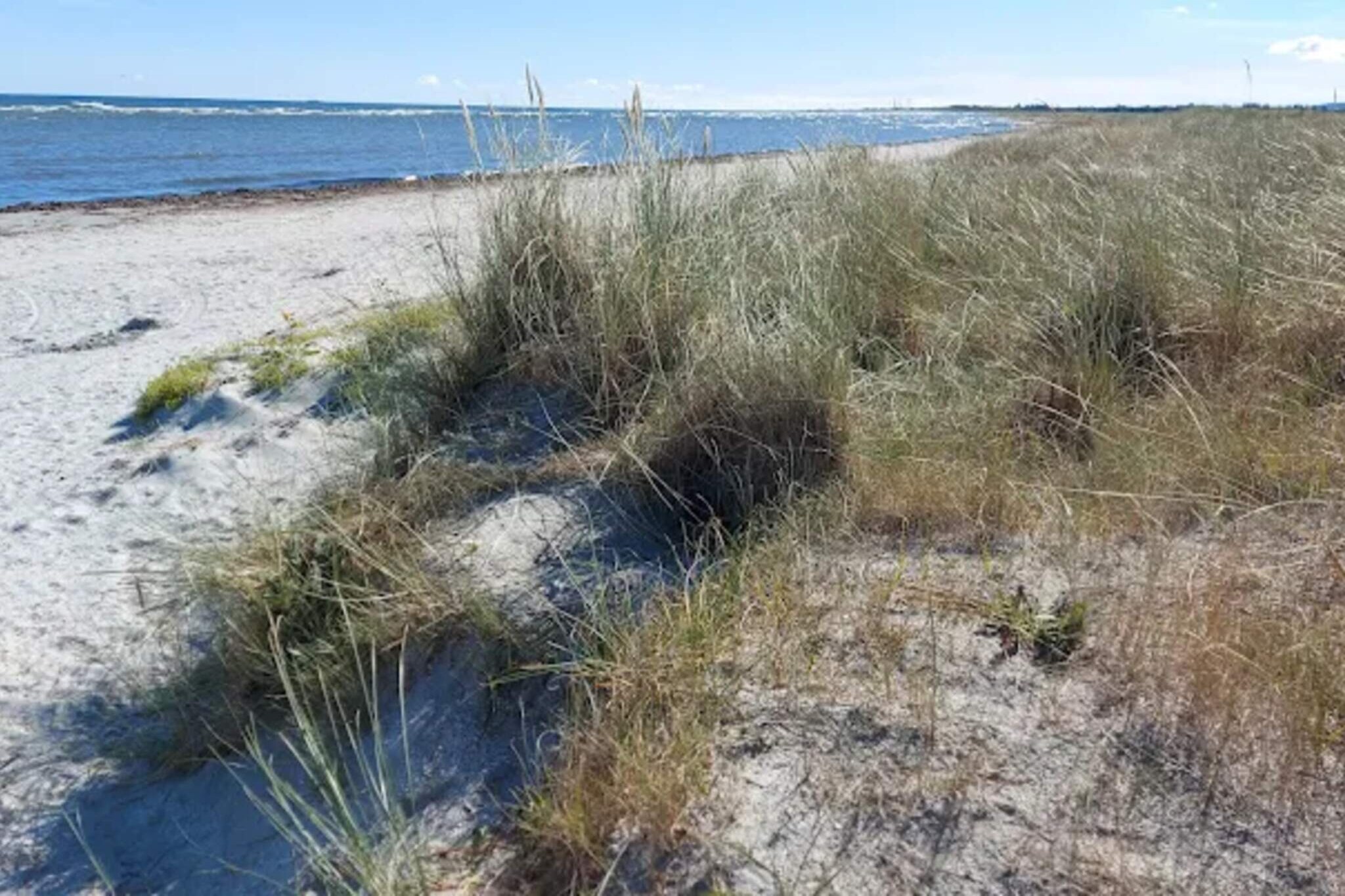 7 persoons vakantie huis in Jerup-By Traum-Waterzicht