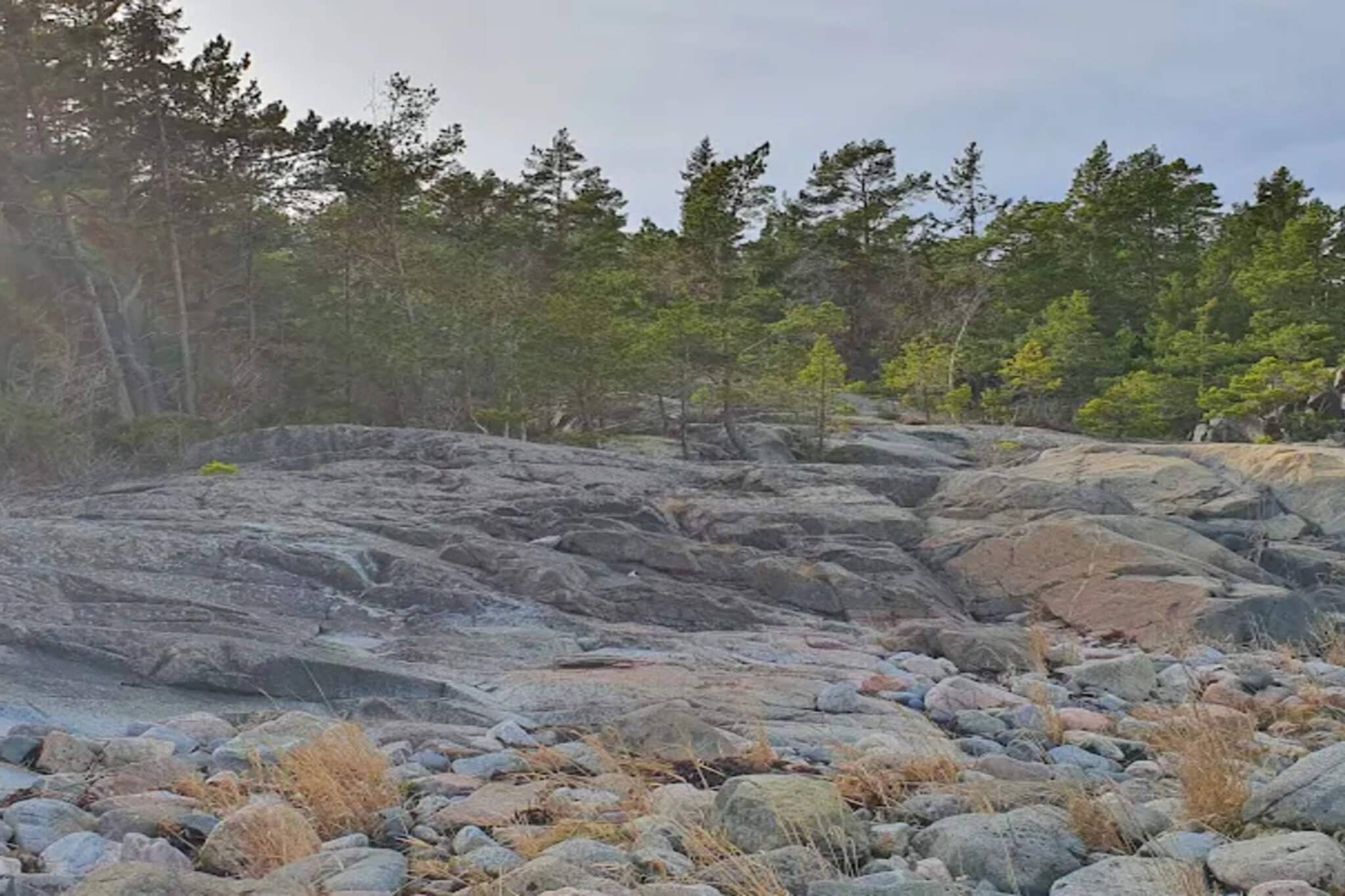 7 persoons vakantie huis in GRISSLEHAMN-By Traum-Niet-getagd