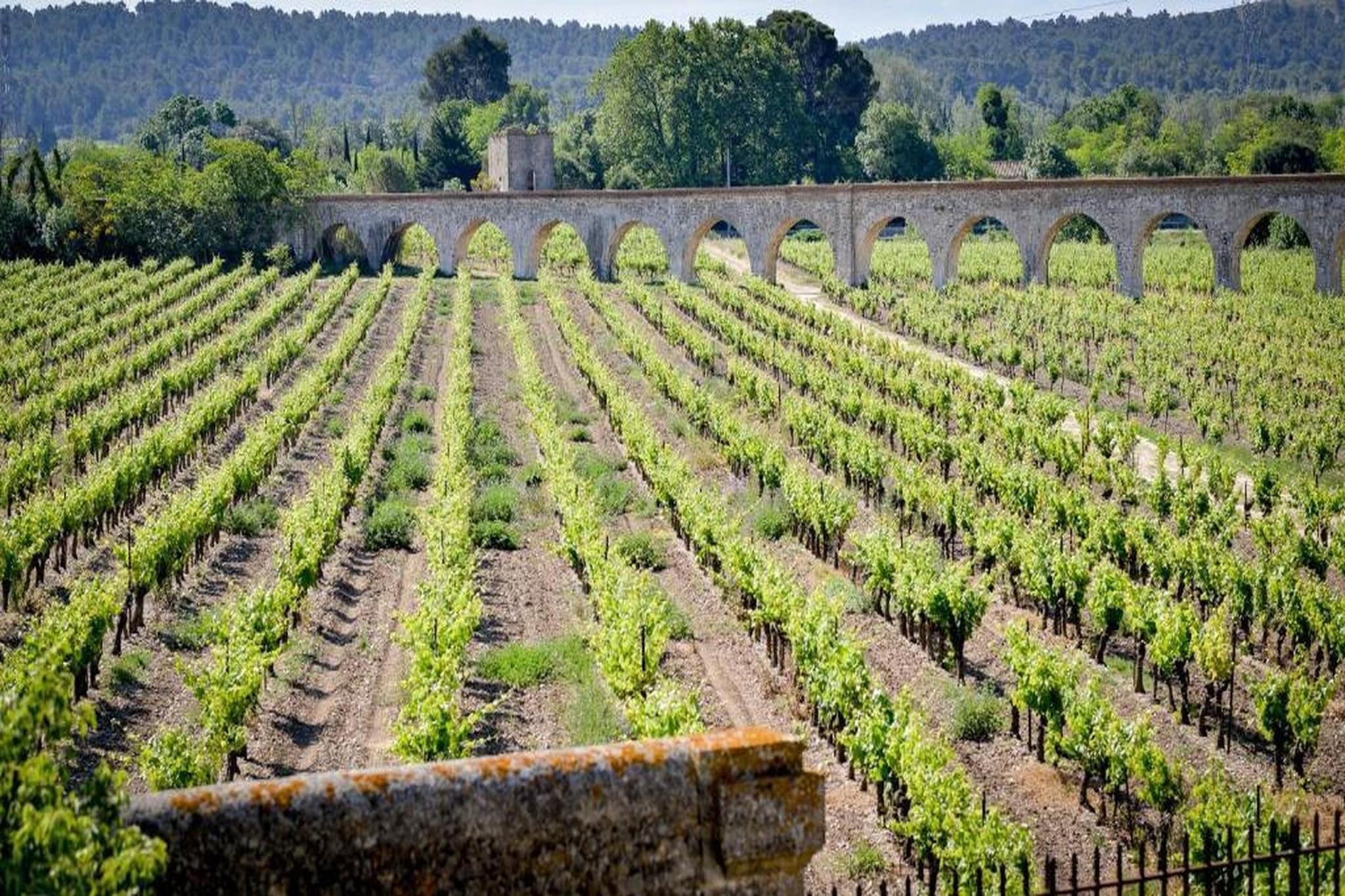 Résidence du Château de Jouarres - Azille // Apt 3 P 6 pers - Tuinen zomer
