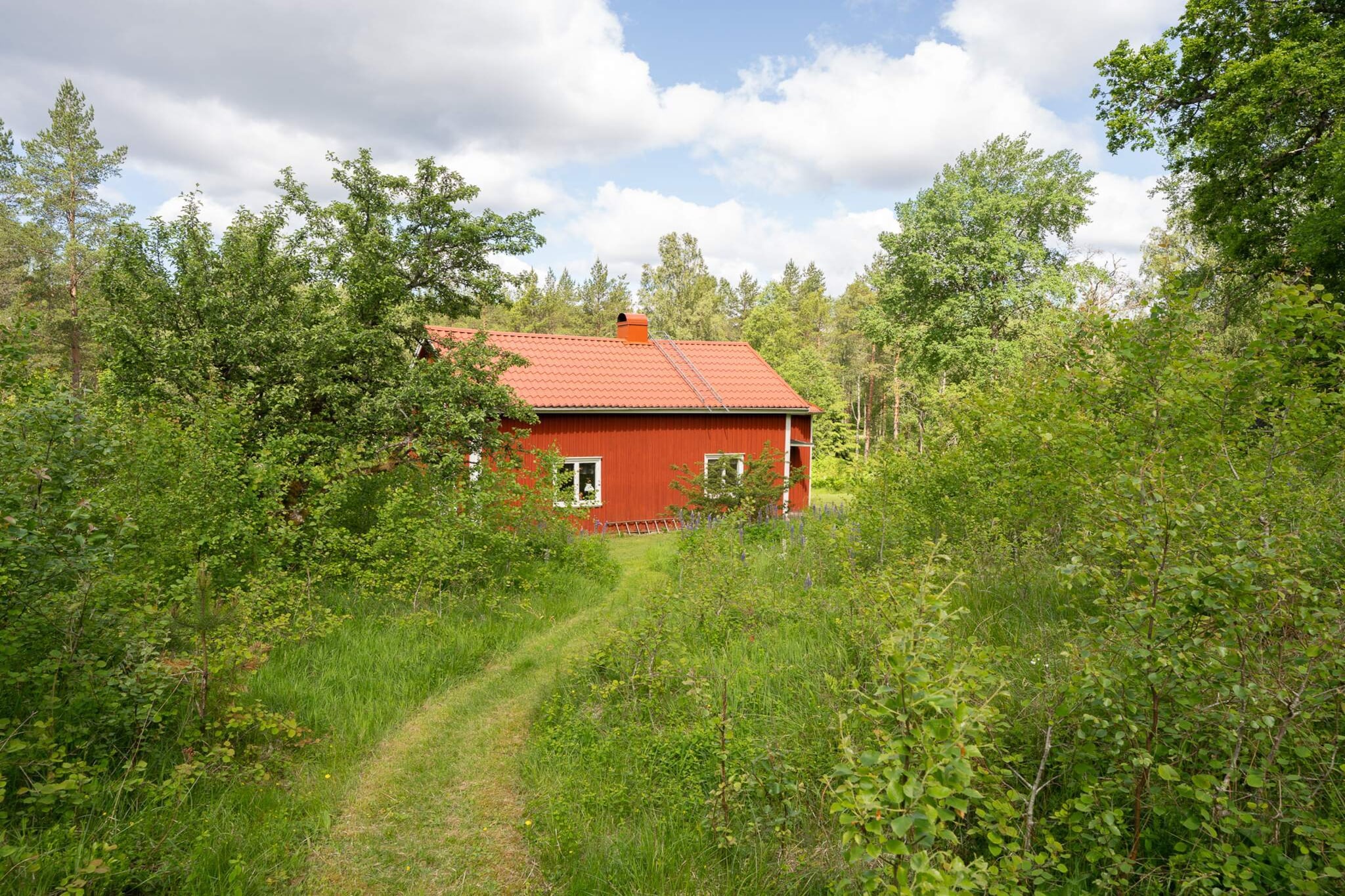 6 persoons vakantie huis in SANDHULT-By Traum-Buitenlucht