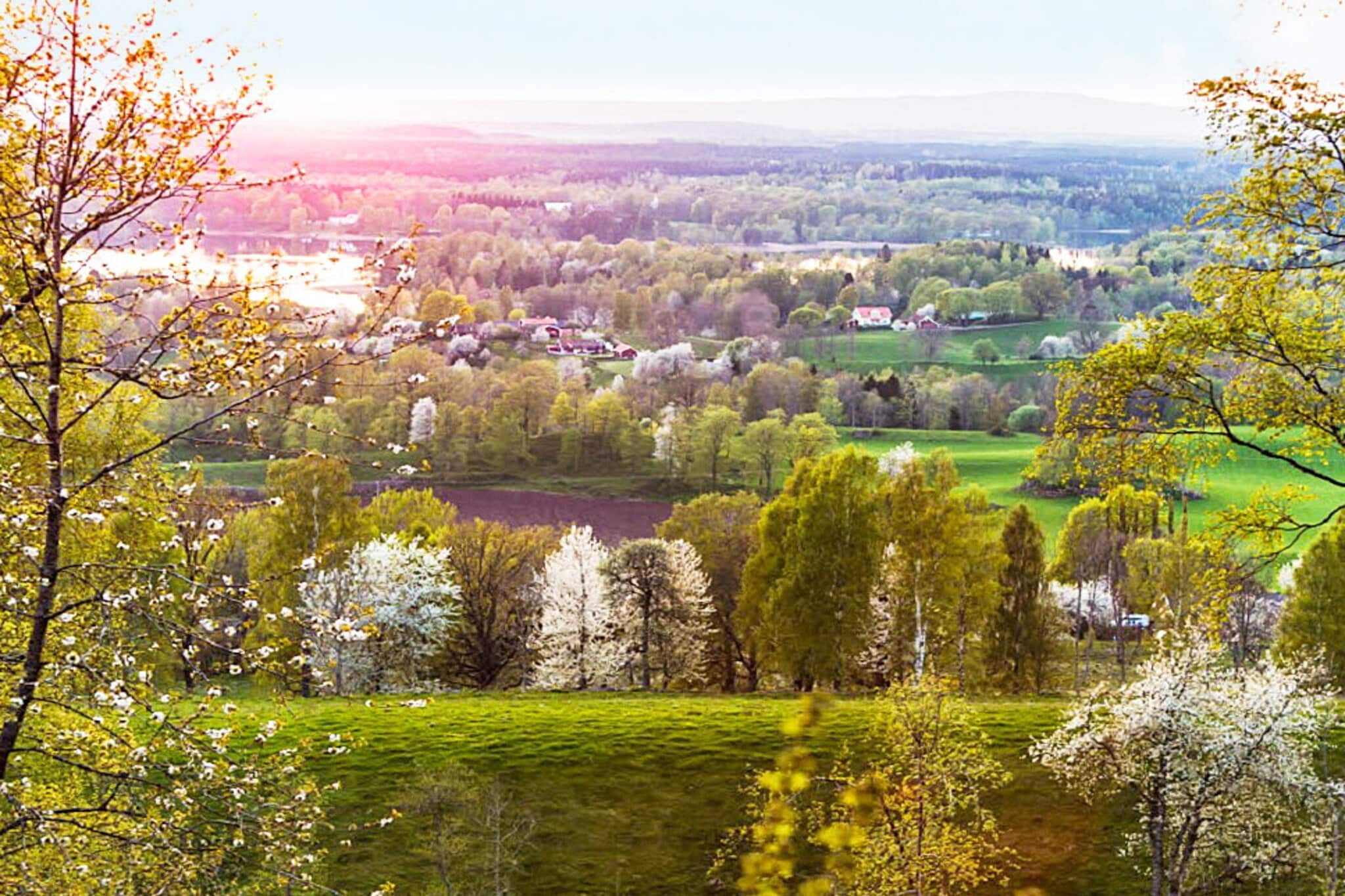 Annex: (2x single bed)\n\nKitchen(cooker(electric), microwave, fridge(+ freezer), water from well), Living/bed room(TV, chromecast), bedroom(2x single bed), bedroom(2x single bed), bathroom(washbasin, shower(outside)), heating(electric), parking